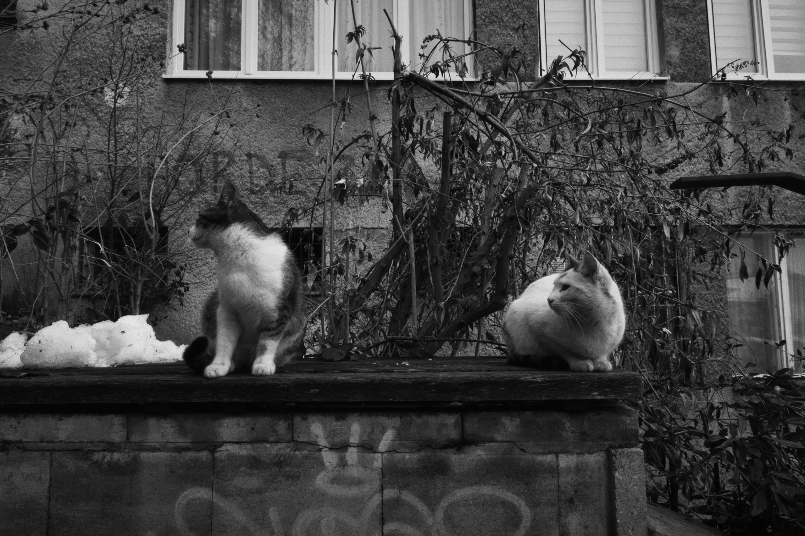 Sarajevo / Bosnia and Herzegovina AW26. Фотограф Юрин Евгений