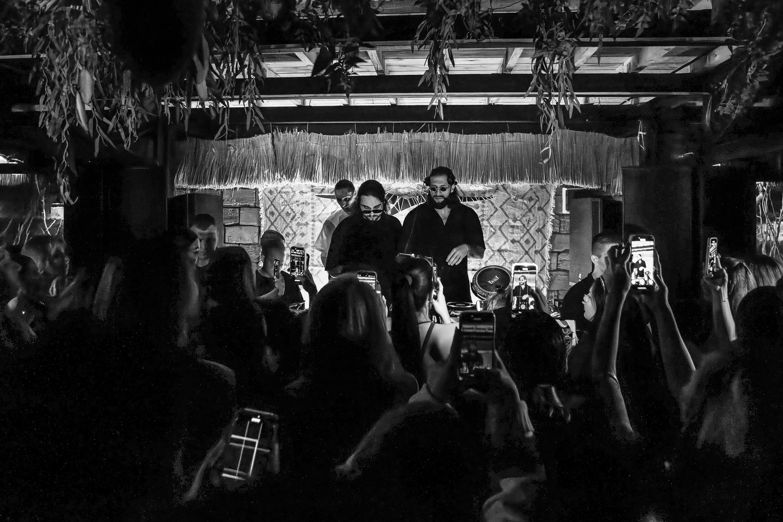 «Karena Makarena"_Чайка на пляже_ Ялта_6.06.2025 г. Аминов Руслан | Фотограф