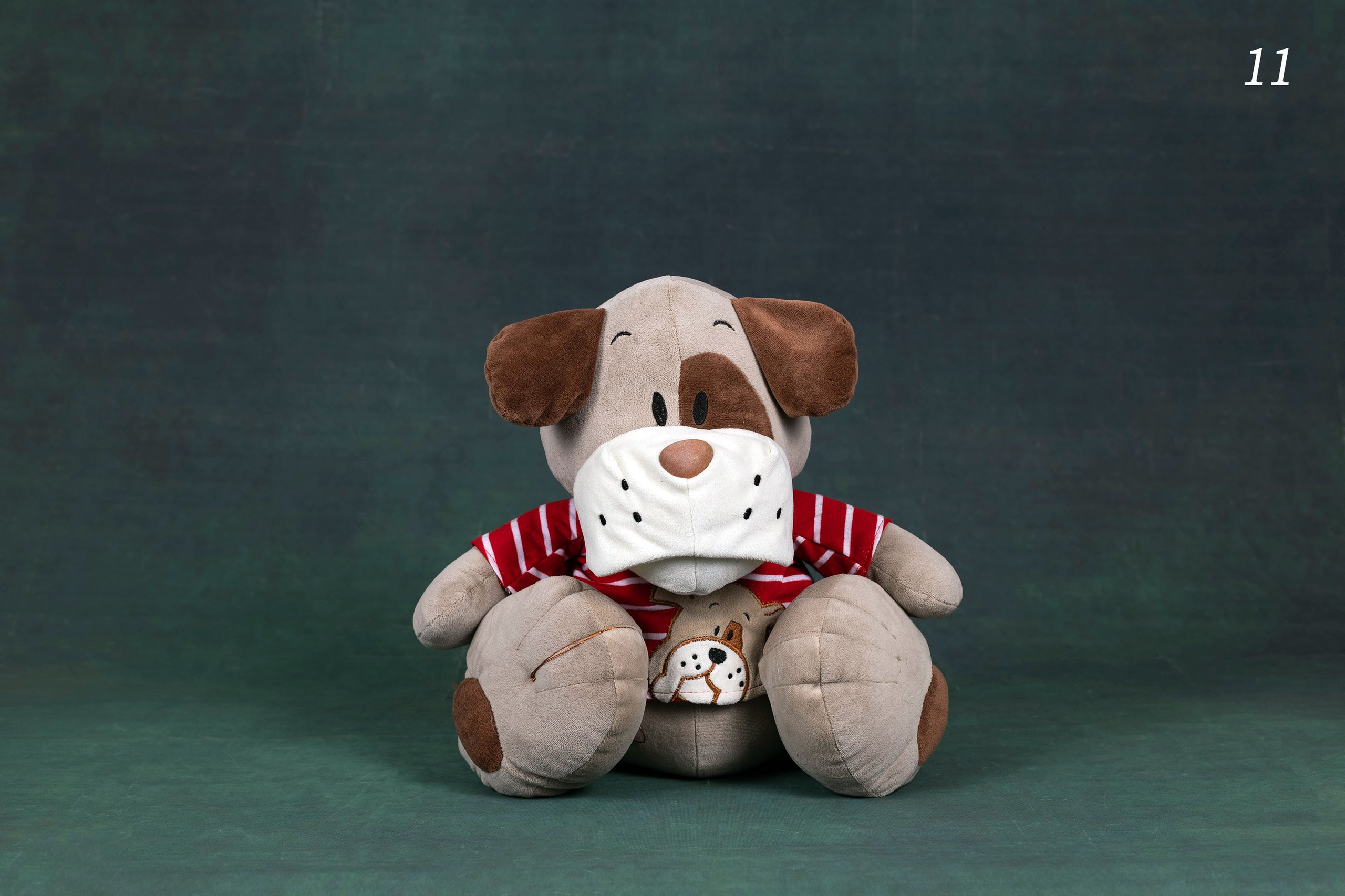 Фоны спектра радуги. Фотограф-анималист в Омске Екатерина Маричева