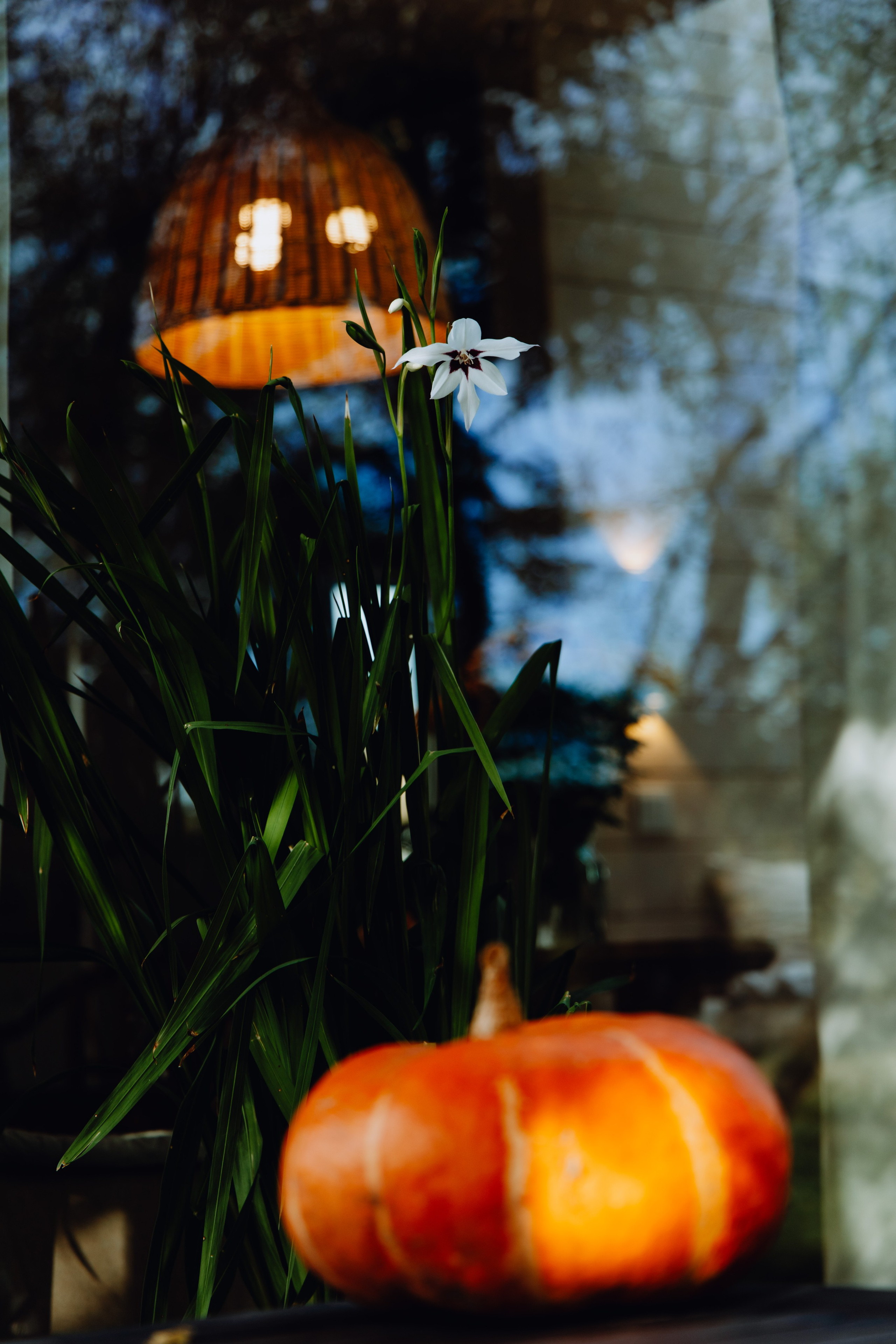Семейная фотосессия в Чернянке. Фотограф Максим Никонов