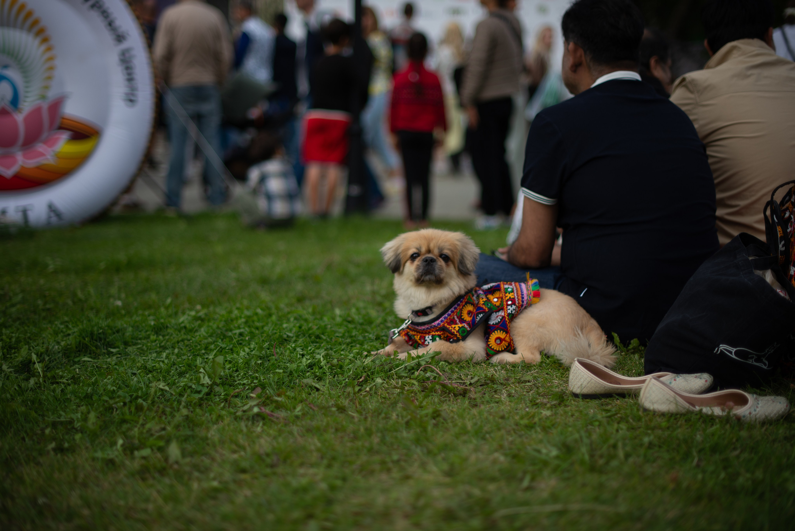 День Индии юбилейный 10й фестиваль. Victoria Radjevna Репортажный Фотограф — Видеограф Москва • Санкт-Петербург
