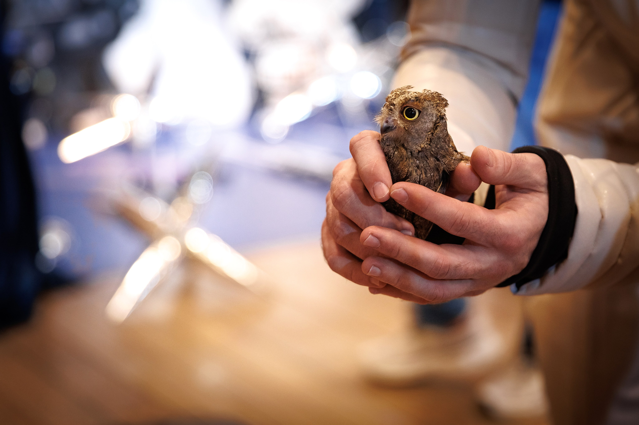 День Рождения Анны