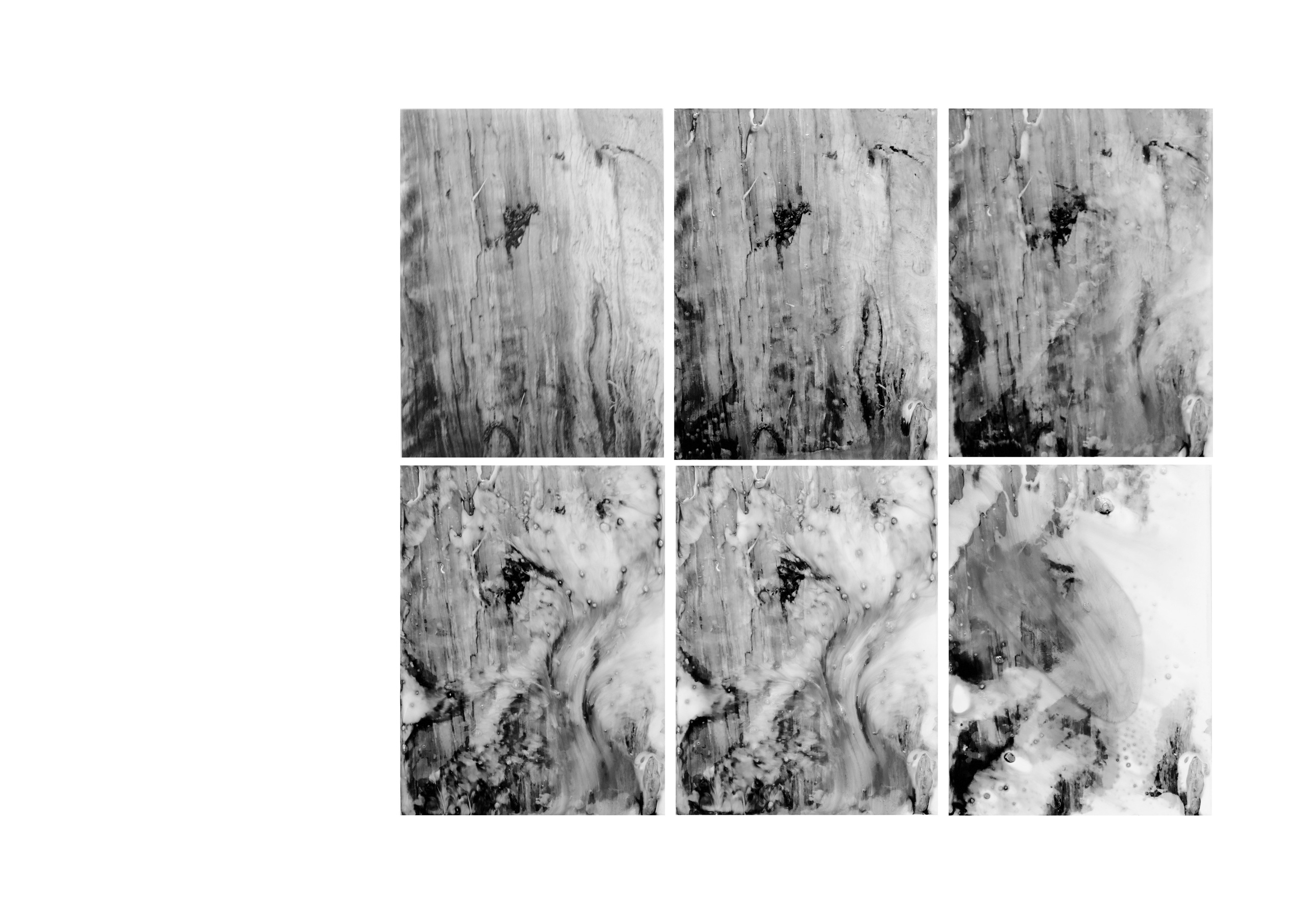 Я приношу к себе лес я себя приношу в лес. Алиса Косарева