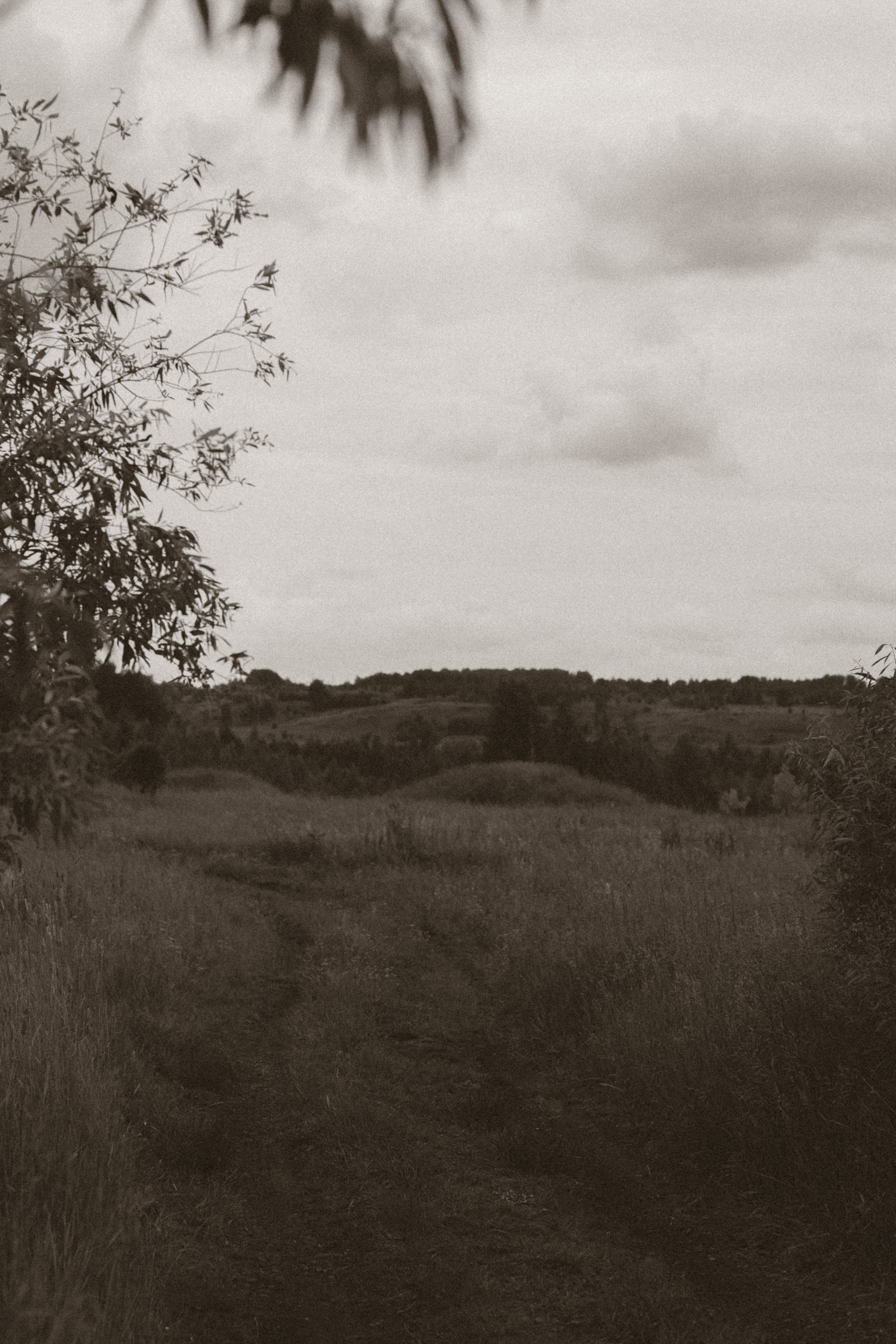 POLINA. Фотограф Шадринск