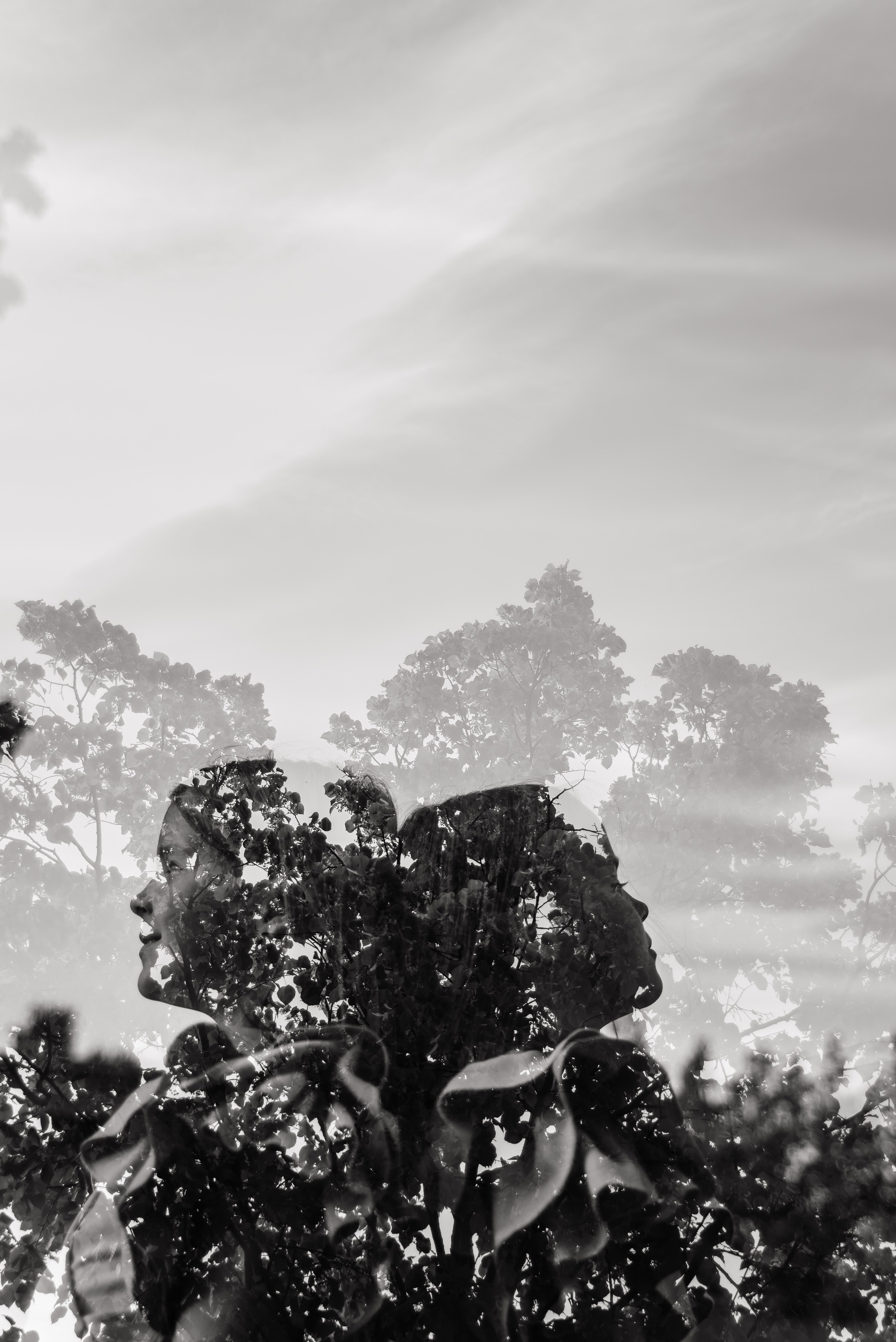 Семейная студийная. Свадебный и семейный фотограф в городе Смоленске
