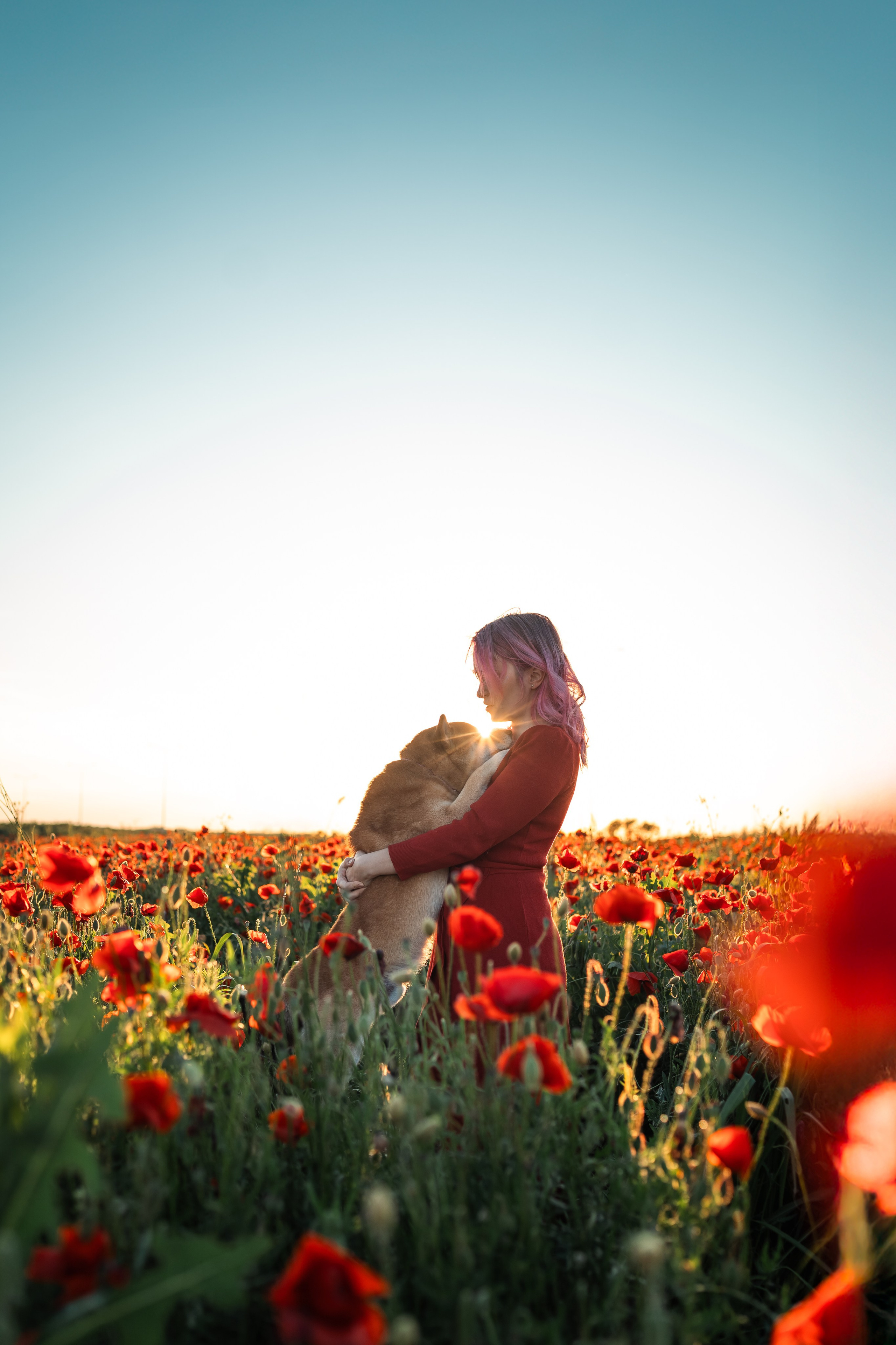 Маковое поле. Фотограф анималист