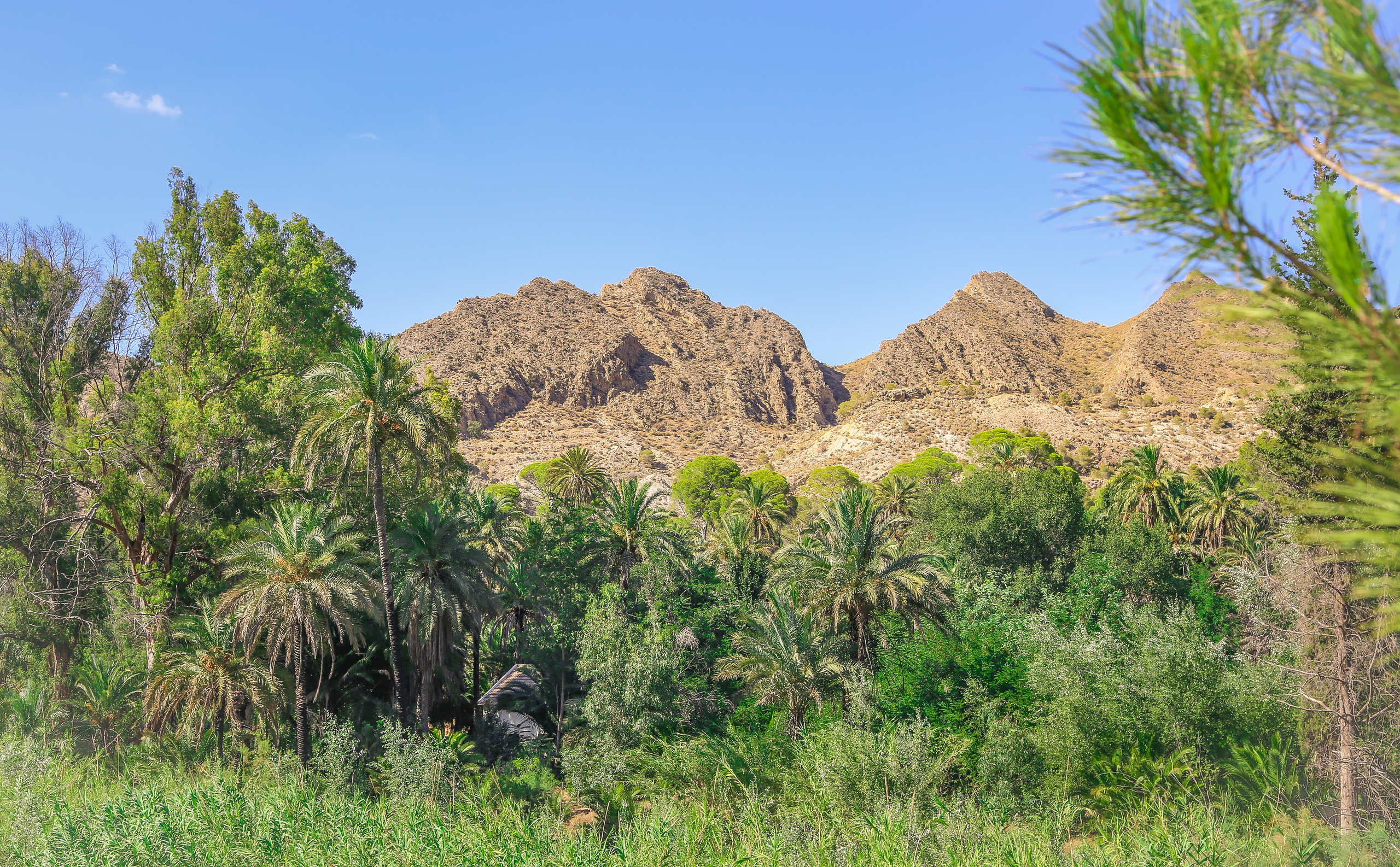 Испания: Мурсия и Арчена — взгляд с дистанции. Дарья Письменюк / Darya Leitstern — фотограф, музыкант, журналист, путешественник
