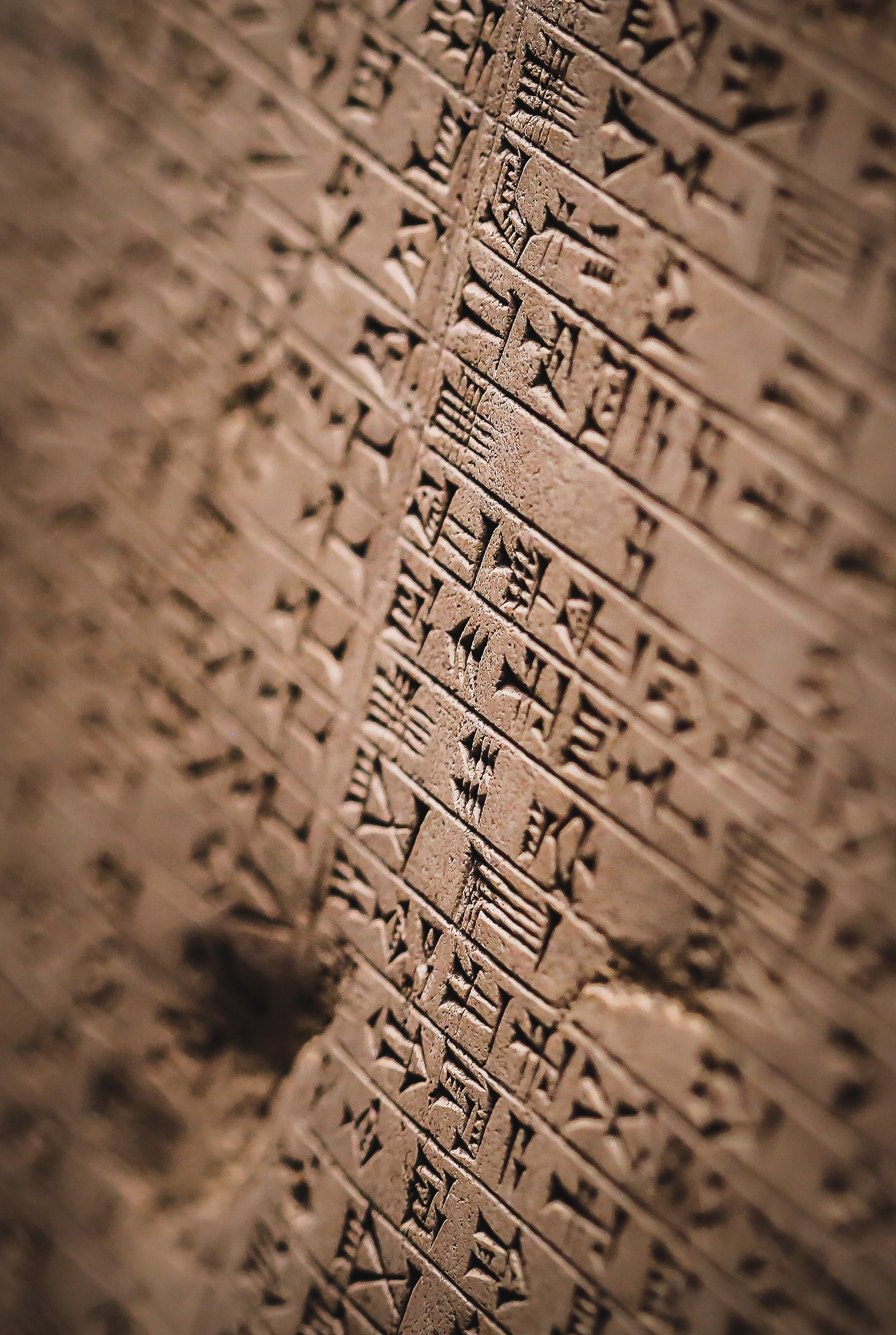 Англия: Лондон музейный. Дарья Письменюк / Darya Leitstern — фотограф, музыкант, журналист, путешественник