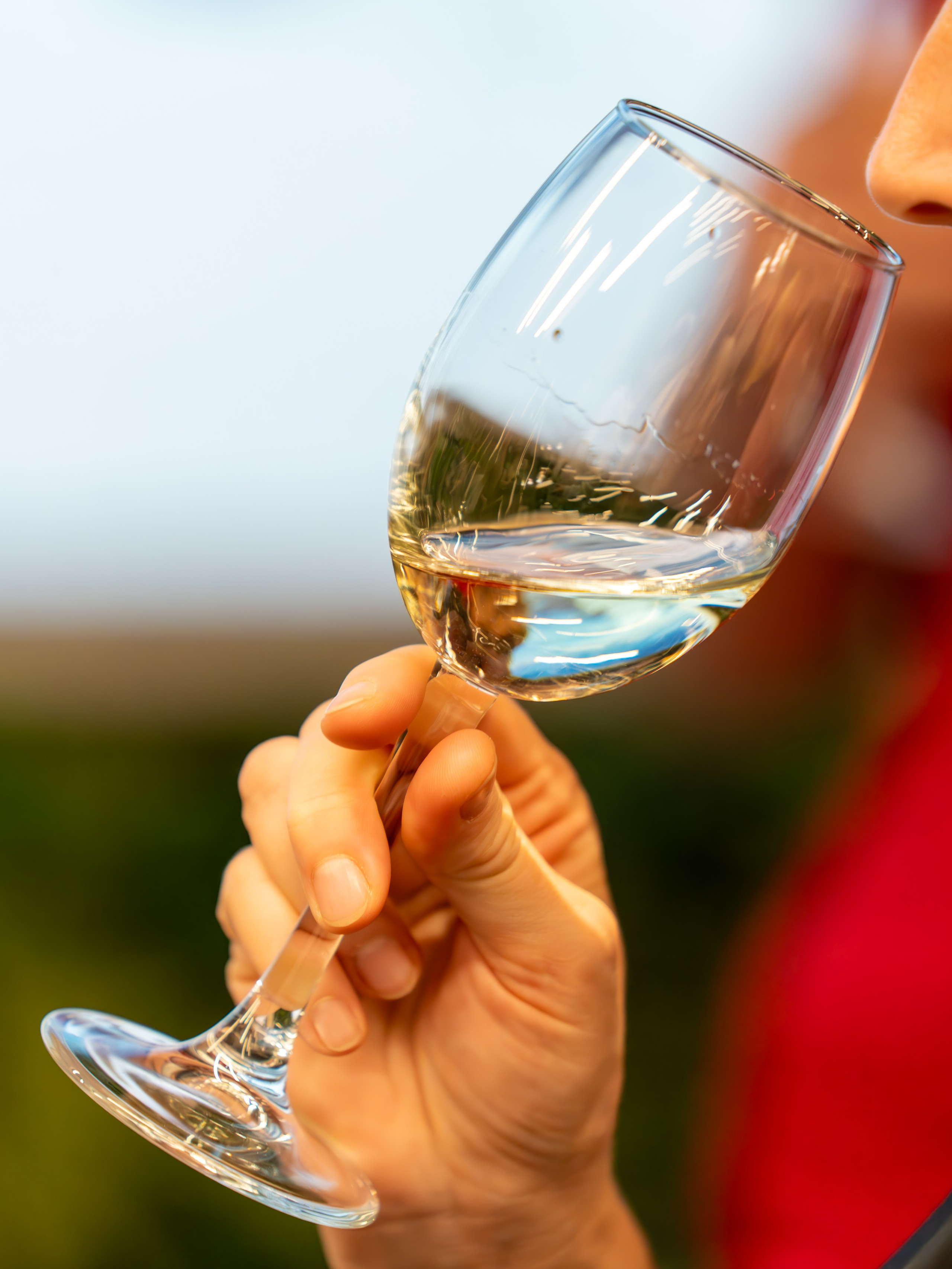 MICE мероприятие — мастер класс по акварели. Репортажный фотограф в Красной Поляне и Сочи Павлюченко Екатерина