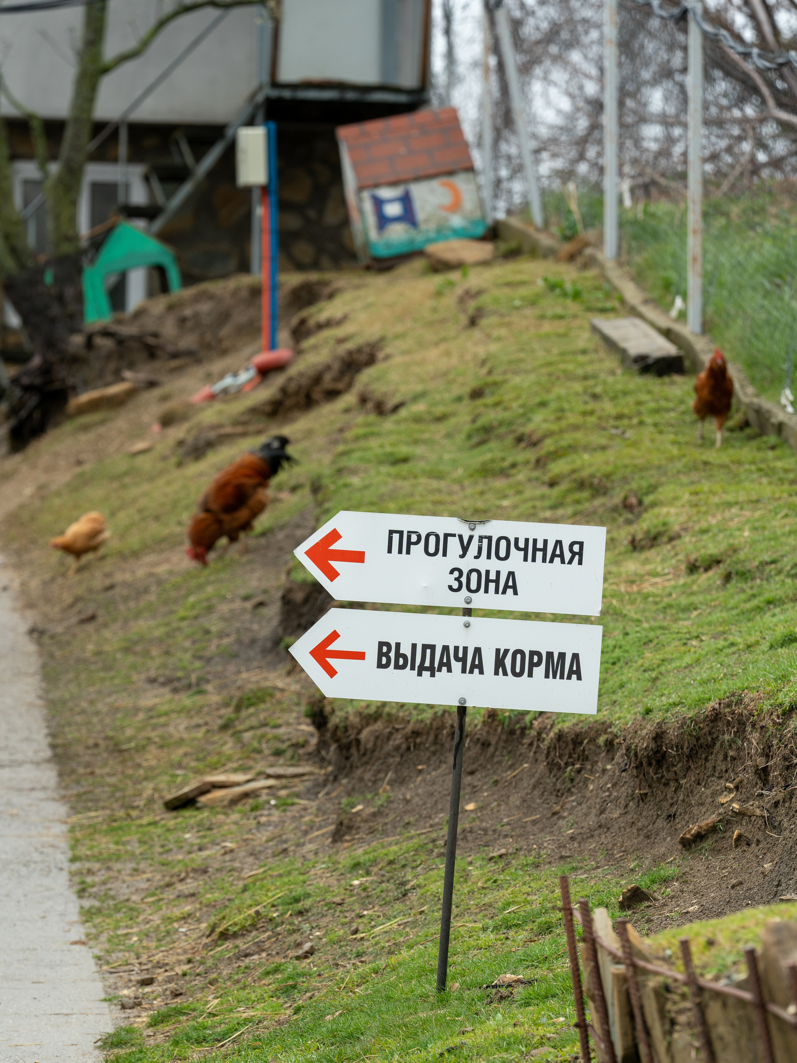 MICE мероприятие на ферме Экзархо. Репортажный фотограф в Красной Поляне и Сочи Павлюченко Екатерина