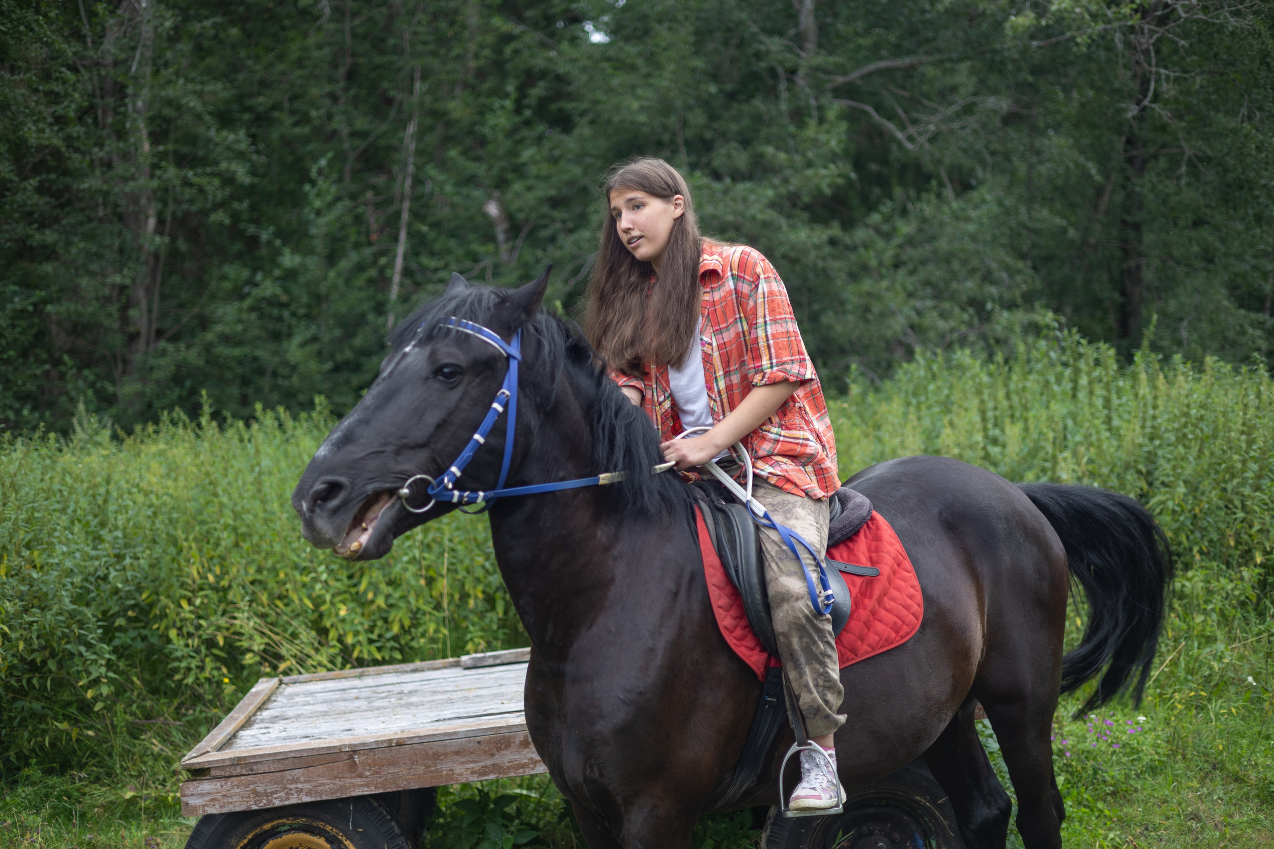 Разные фото работ представленных на сайте