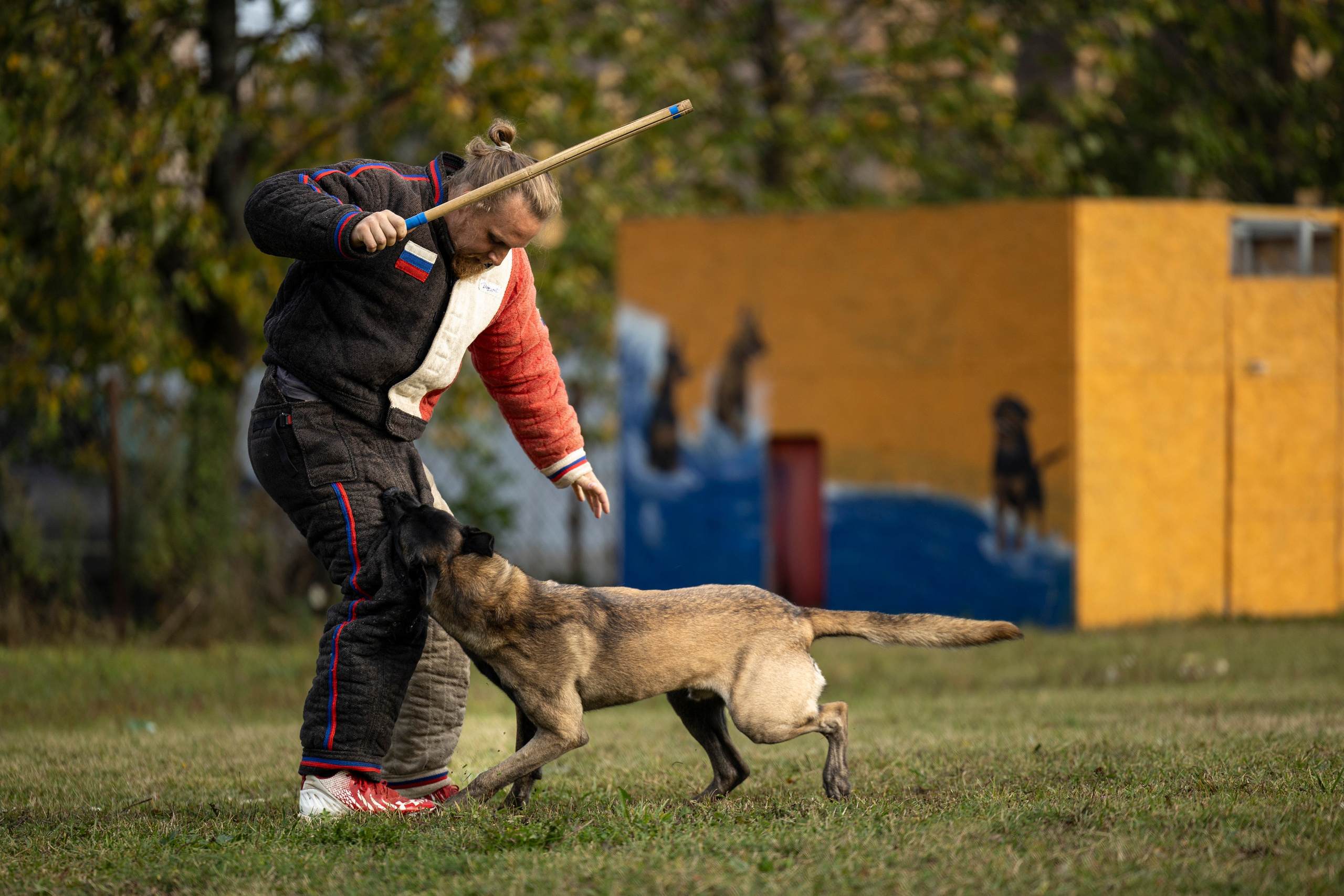 Испытания по Мондьорингу г. Пушкин. Фотограф-анималист Анна Маринич