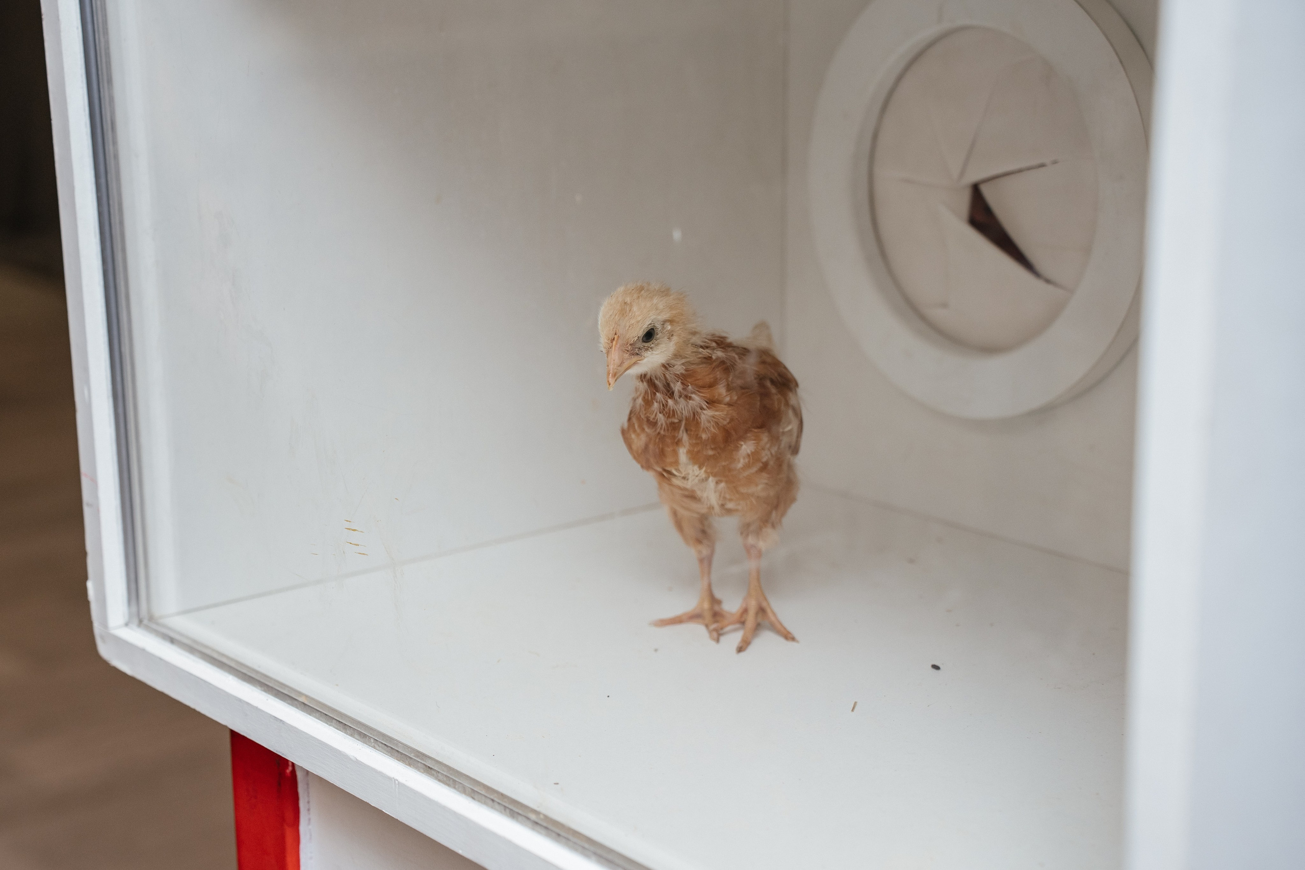 🖤. Свадебный и семейный фотограф в Красноярске Наталья Дроздова