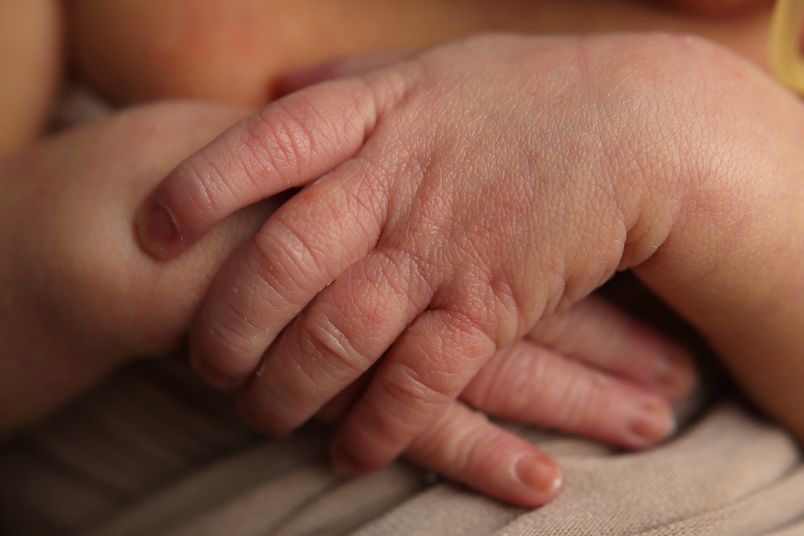 Александр (новорожденные). Главная