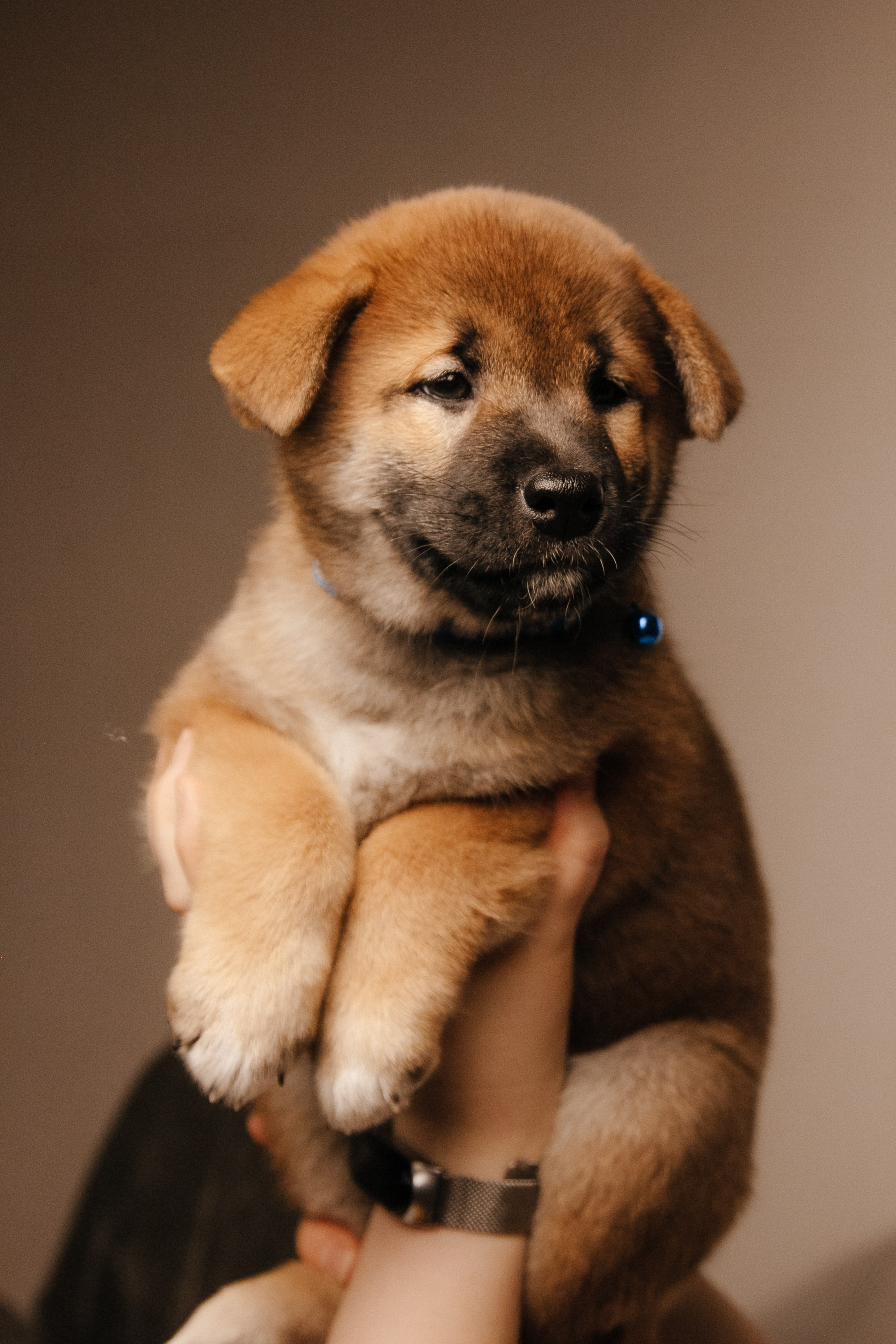 LOVE. Семейный фотограф Казань Никита Федин