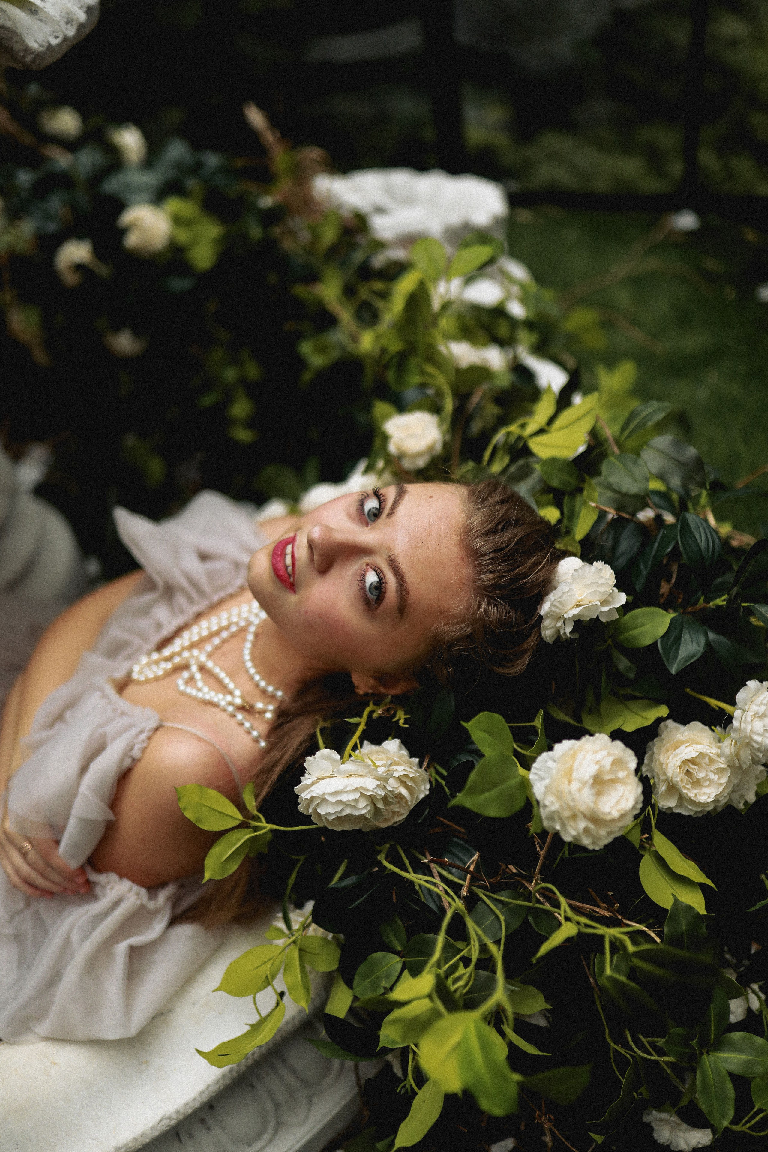 Зачарованный лес