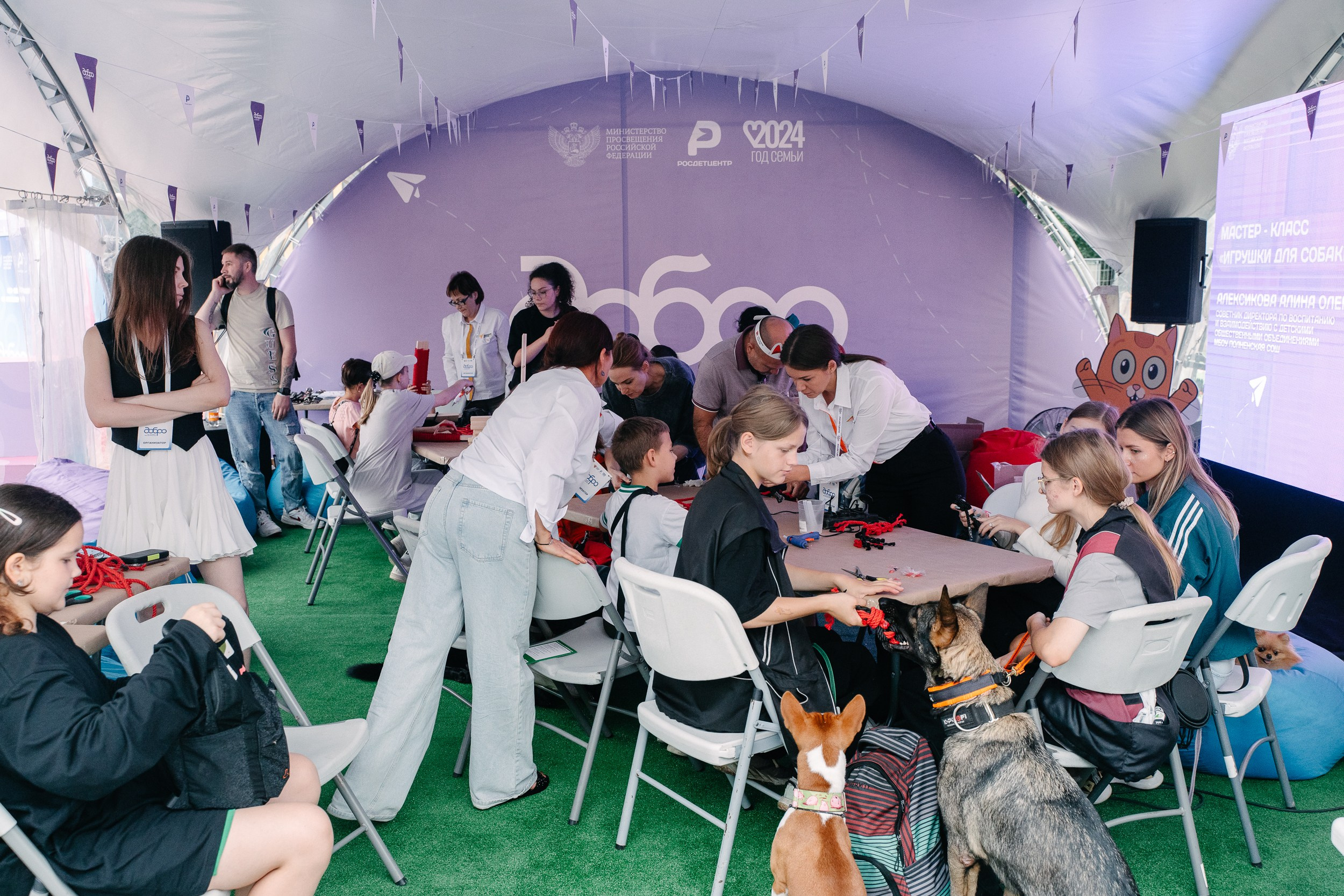 Фотограф Москва и Московская область. Фотосъёмка, видеосъемка массовых мероприятий, reels