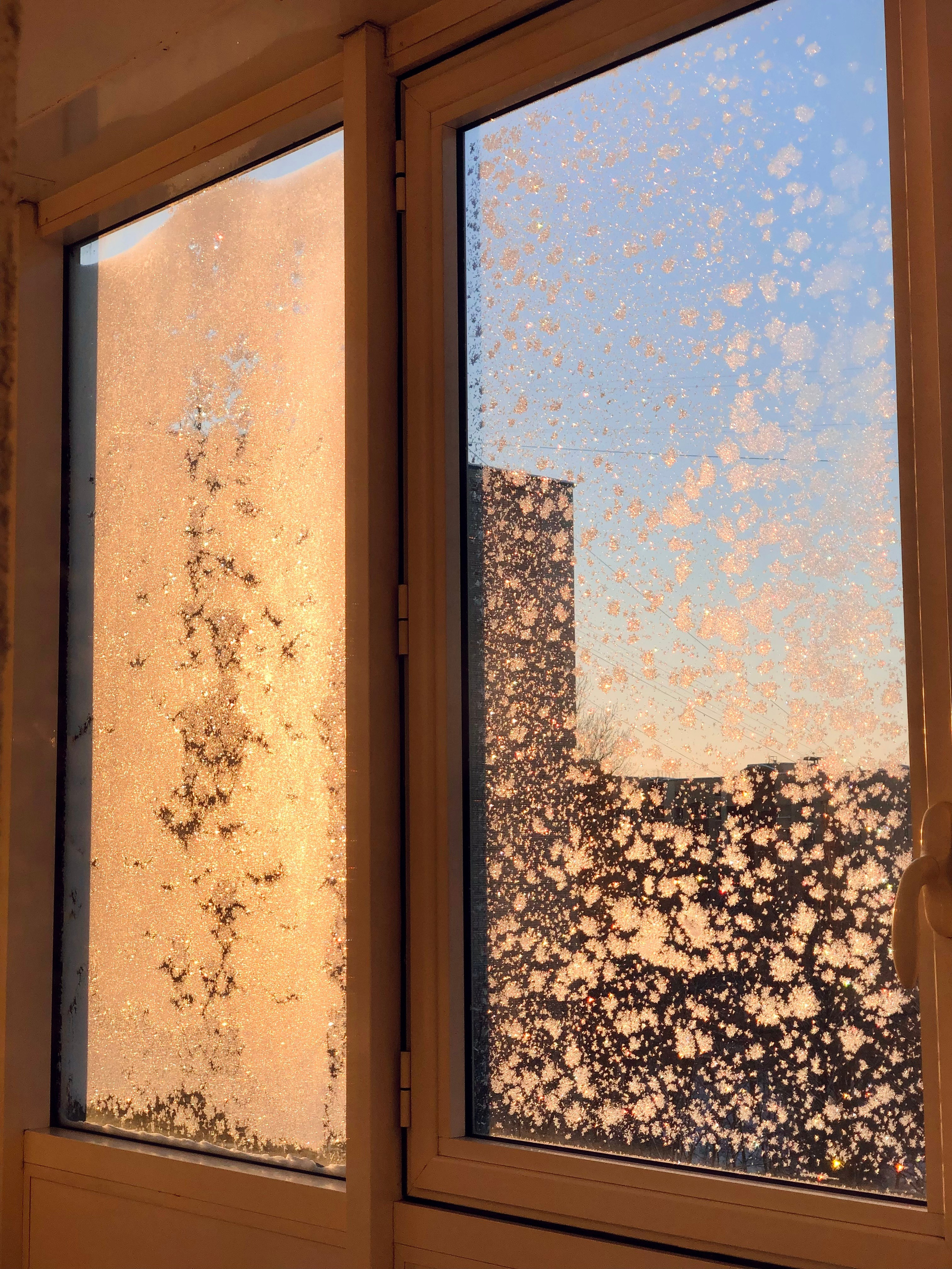 Январь. Семейный, Свадебный фотограф СПБ Питер— Романова Екатерина