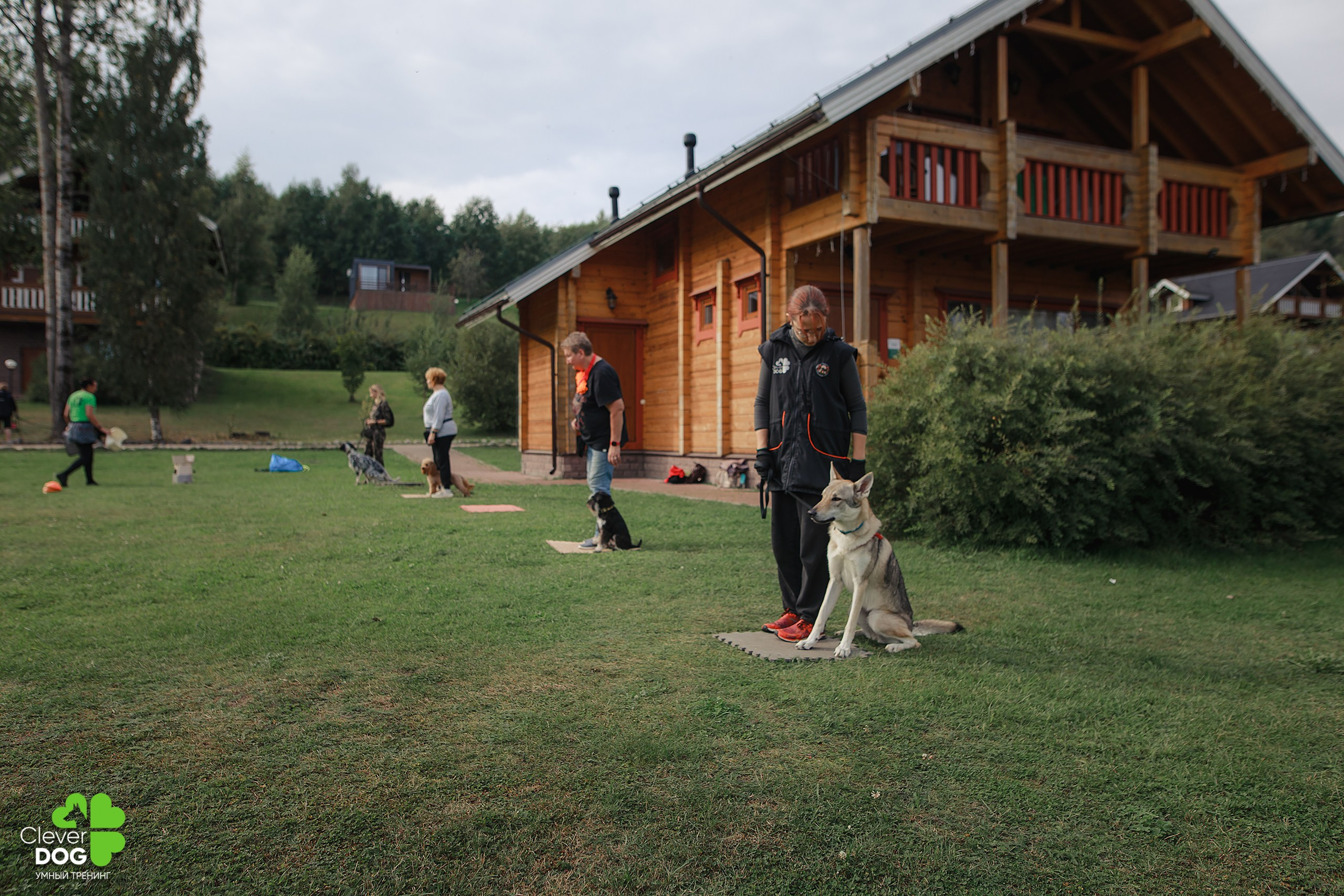 Кинологический лагерь CleverDog, 2024. Фотограф-анималист Mary Mart — Москва, Питер