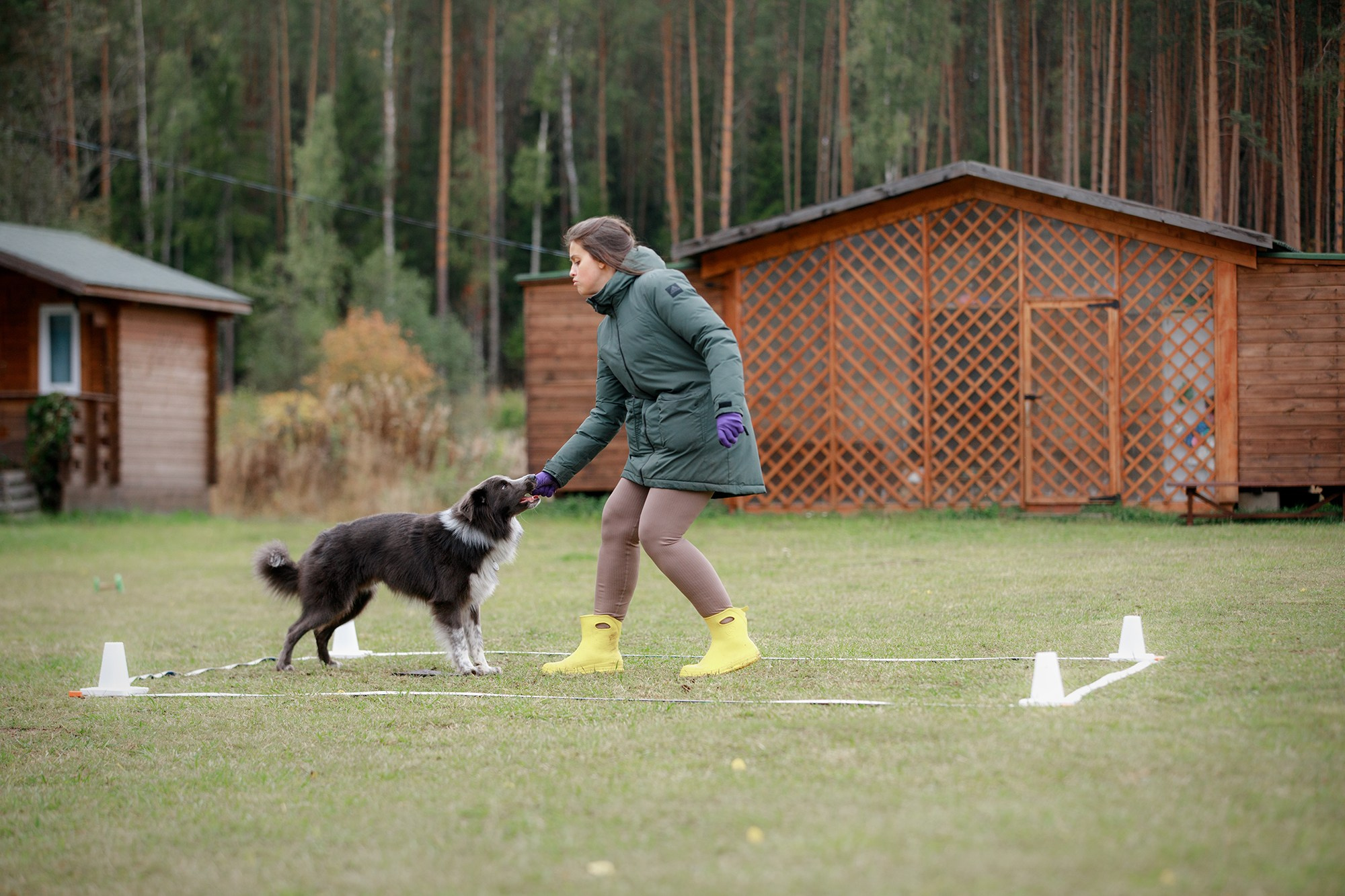 Лагерь по ОБД с Инной Баженовой. Фотограф-анималист Mary Mart — Москва, Питер