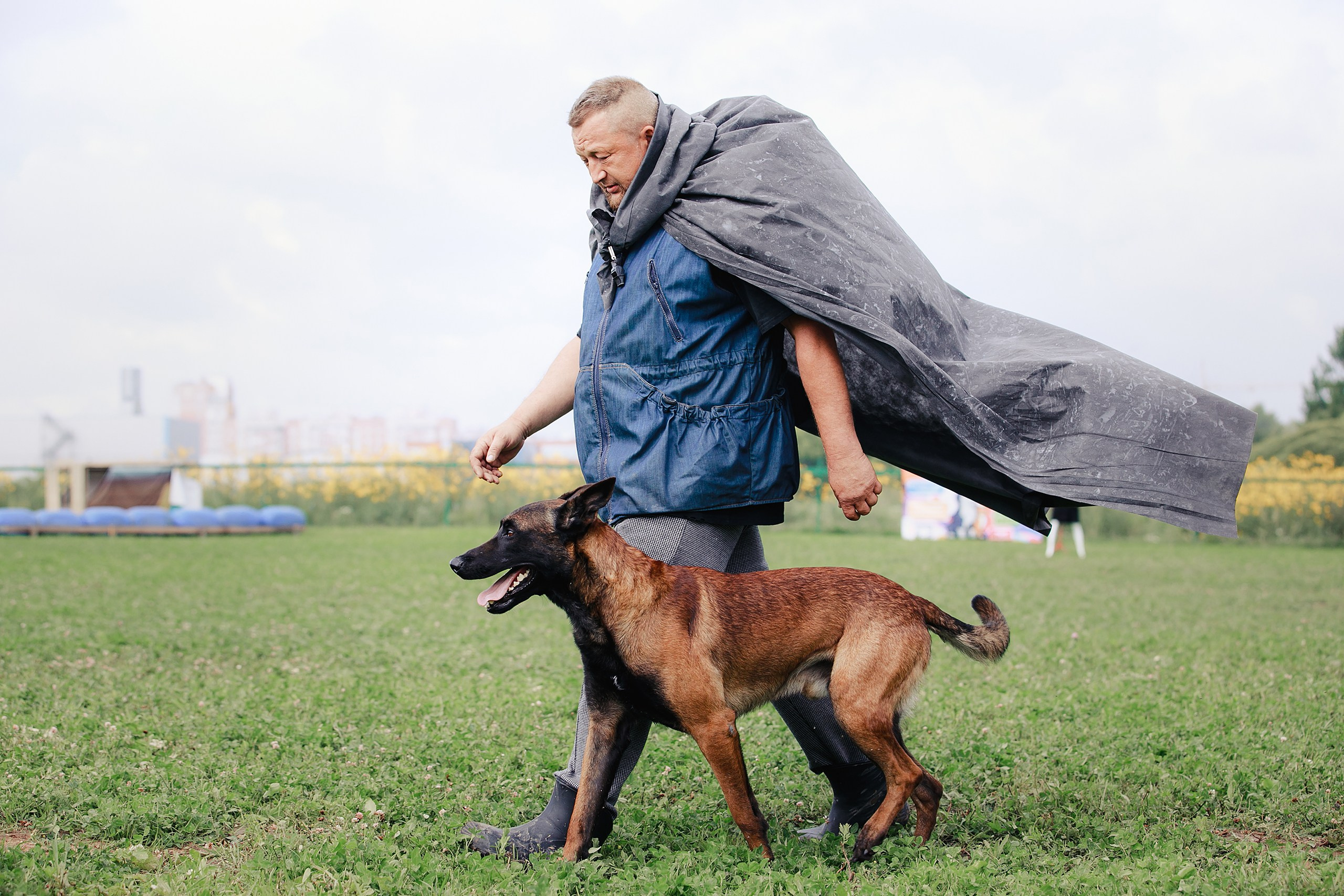 Мондьоринг М1, М2, М3, Вологда. Фотограф-анималист Mary Mart — Москва, Питер