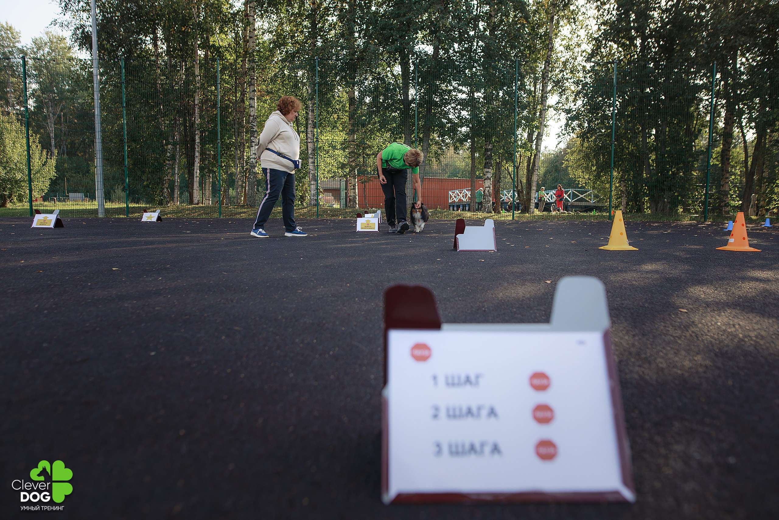 Кинологический лагерь CleverDog, 2024. Фотограф-анималист Mary Mart — Москва, Питер