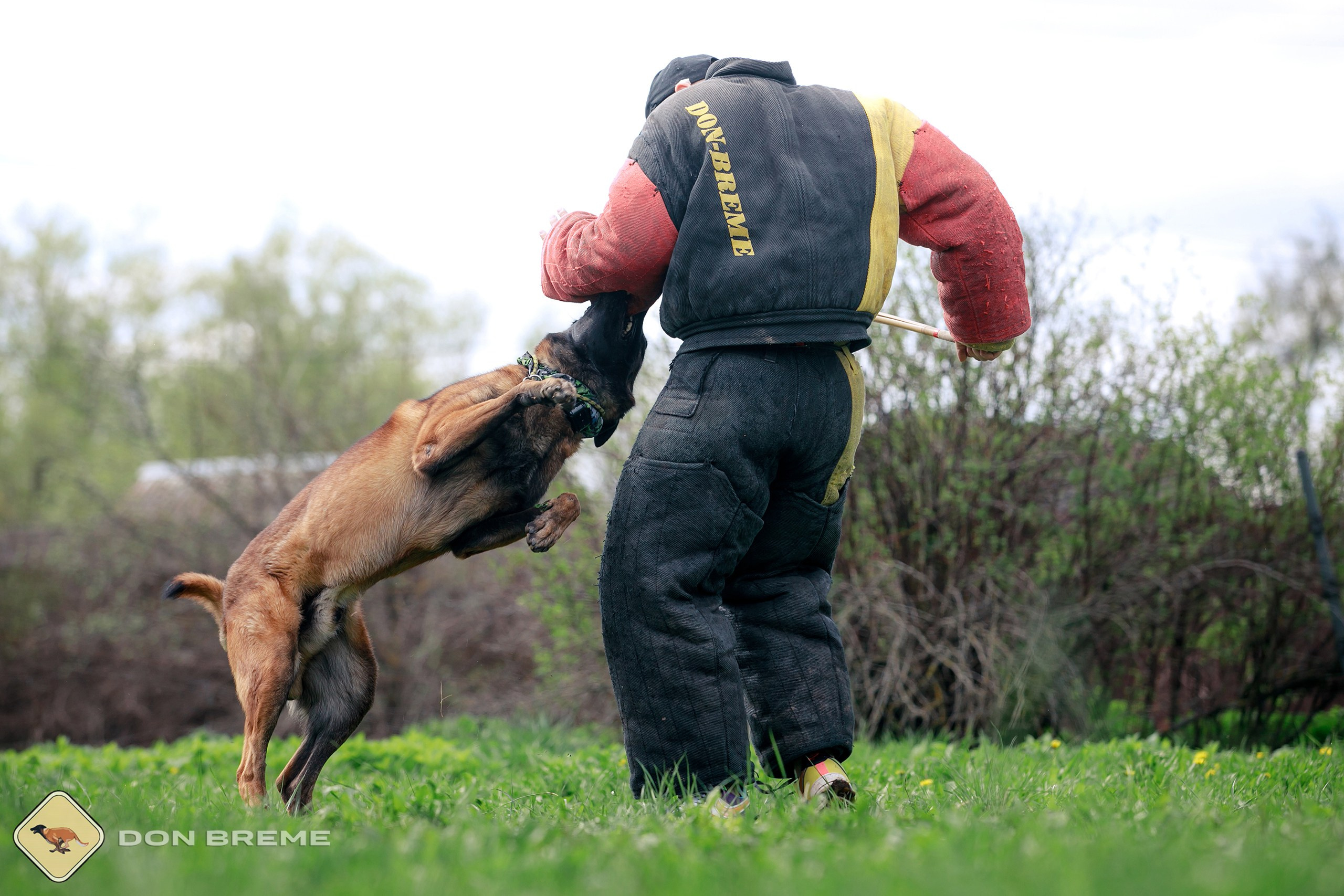 Семинар для фигурантов, день 2. Фотограф-анималист Mary Mart — Москва, Питер
