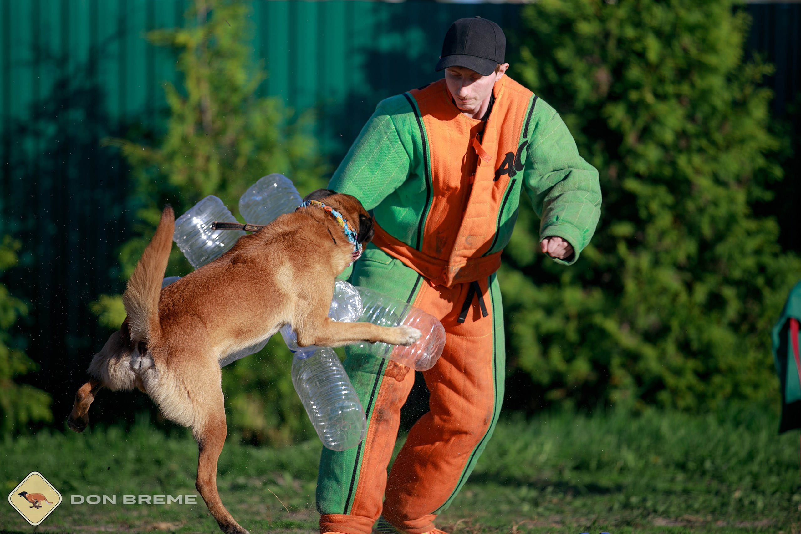 Семинар для фигурантов, день 3. Фотограф-анималист Mary Mart — Москва, Питер