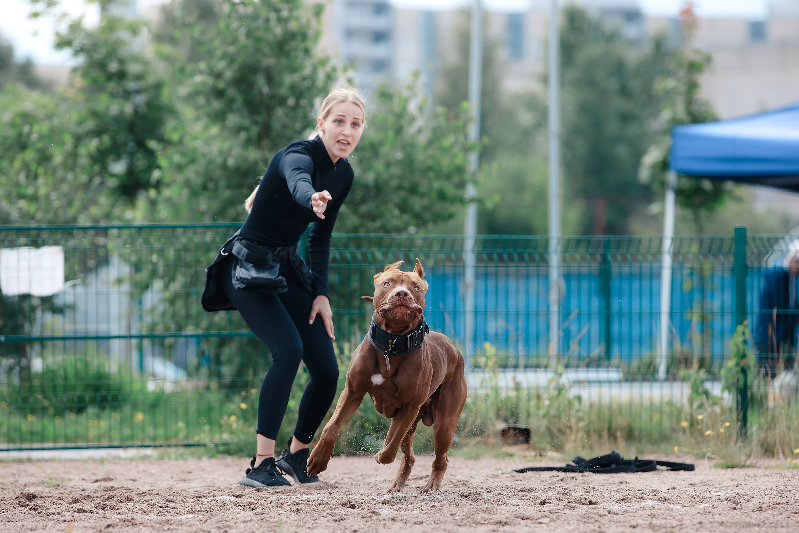 Питч&Гоу + веселые старты. Фотограф-анималист Mary Mart — Москва, Питер