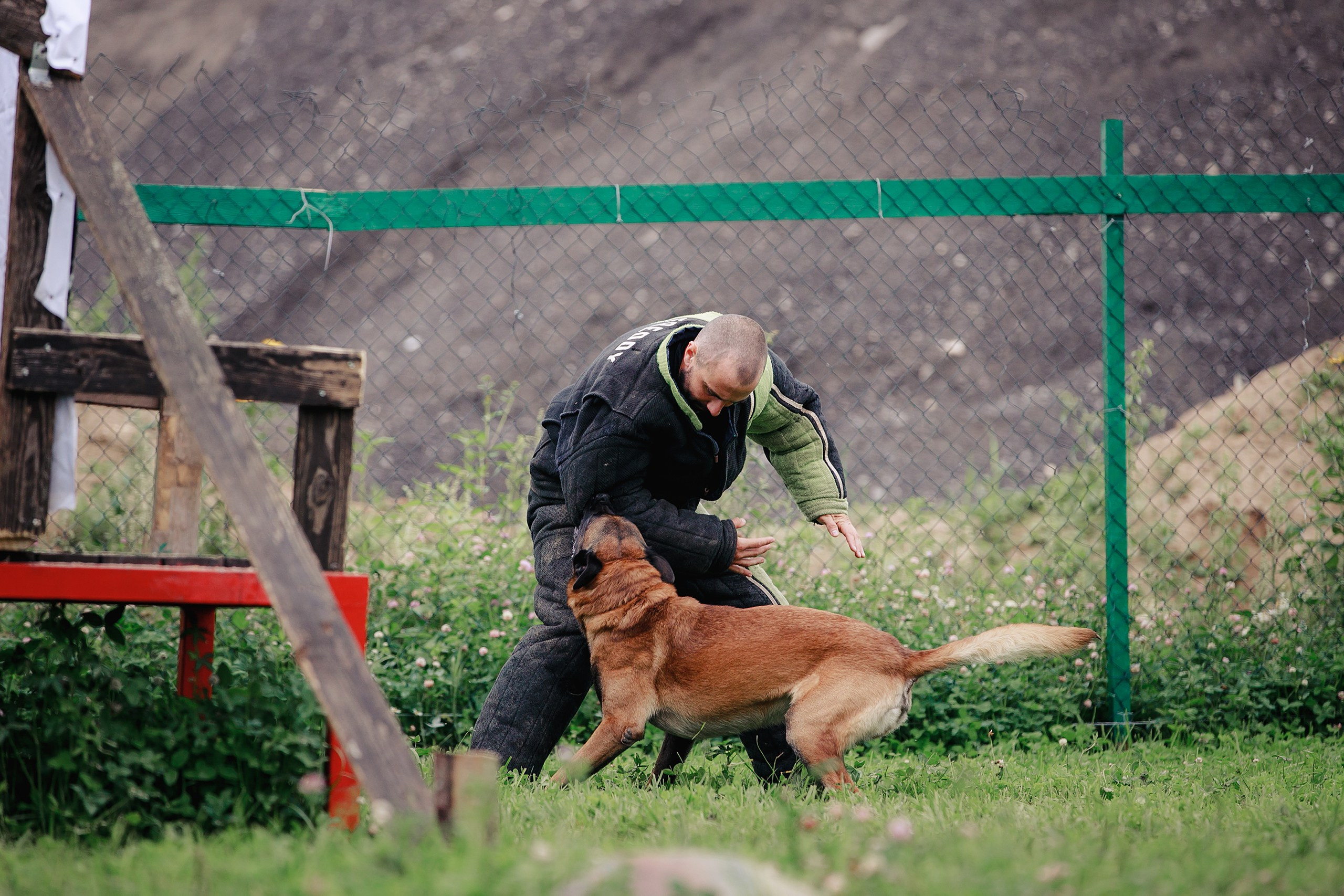 Мондьоринг М1, М2, М3, Вологда. Фотограф-анималист Mary Mart — Москва, Питер