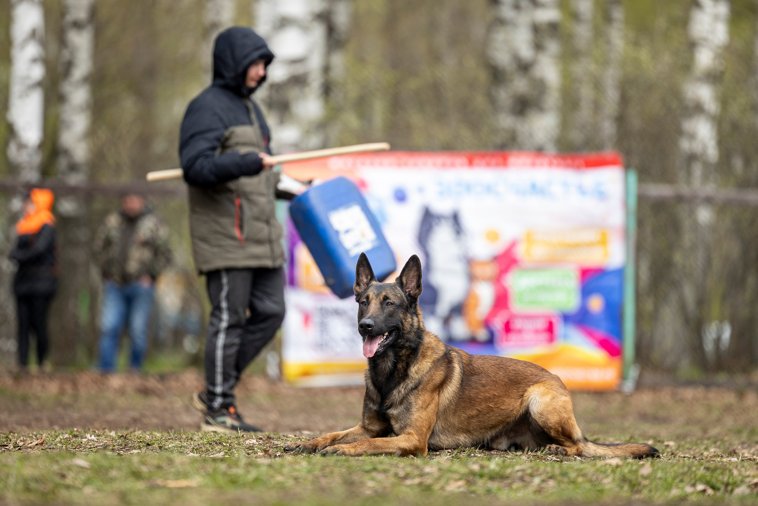 Квалификационные состязания по мондьорингу г. Вологда 11.05.24. Фотограф-анималист Анна Маринич
