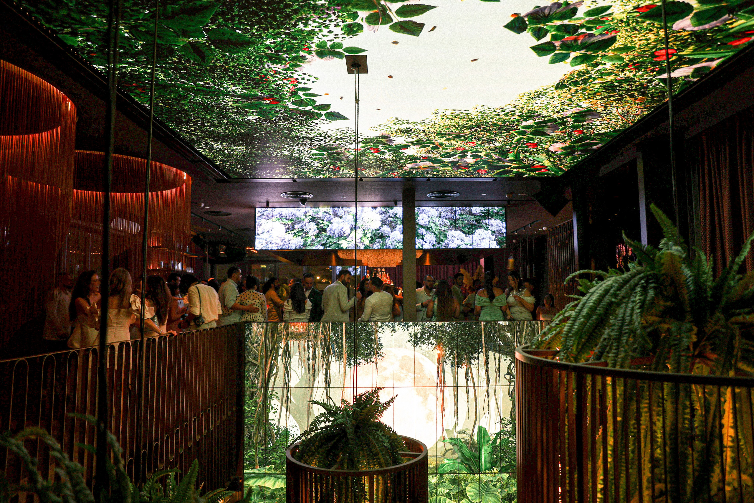 Wedding in Dubai. Photographer in Georgia UAE Russia Nekit Fox