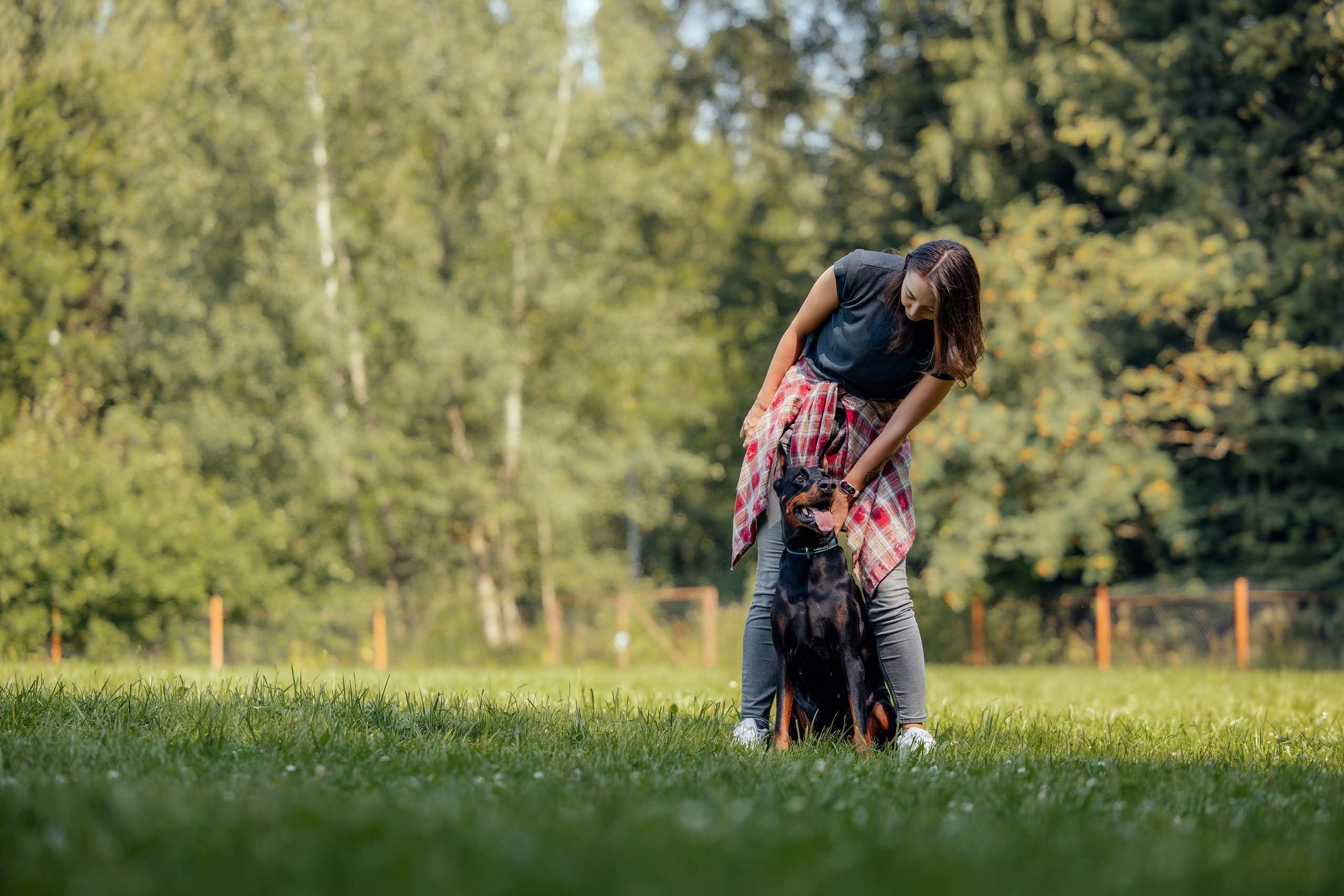 Доберман Айза. Фотограф Анималист в Москве Анастасия Жучкова