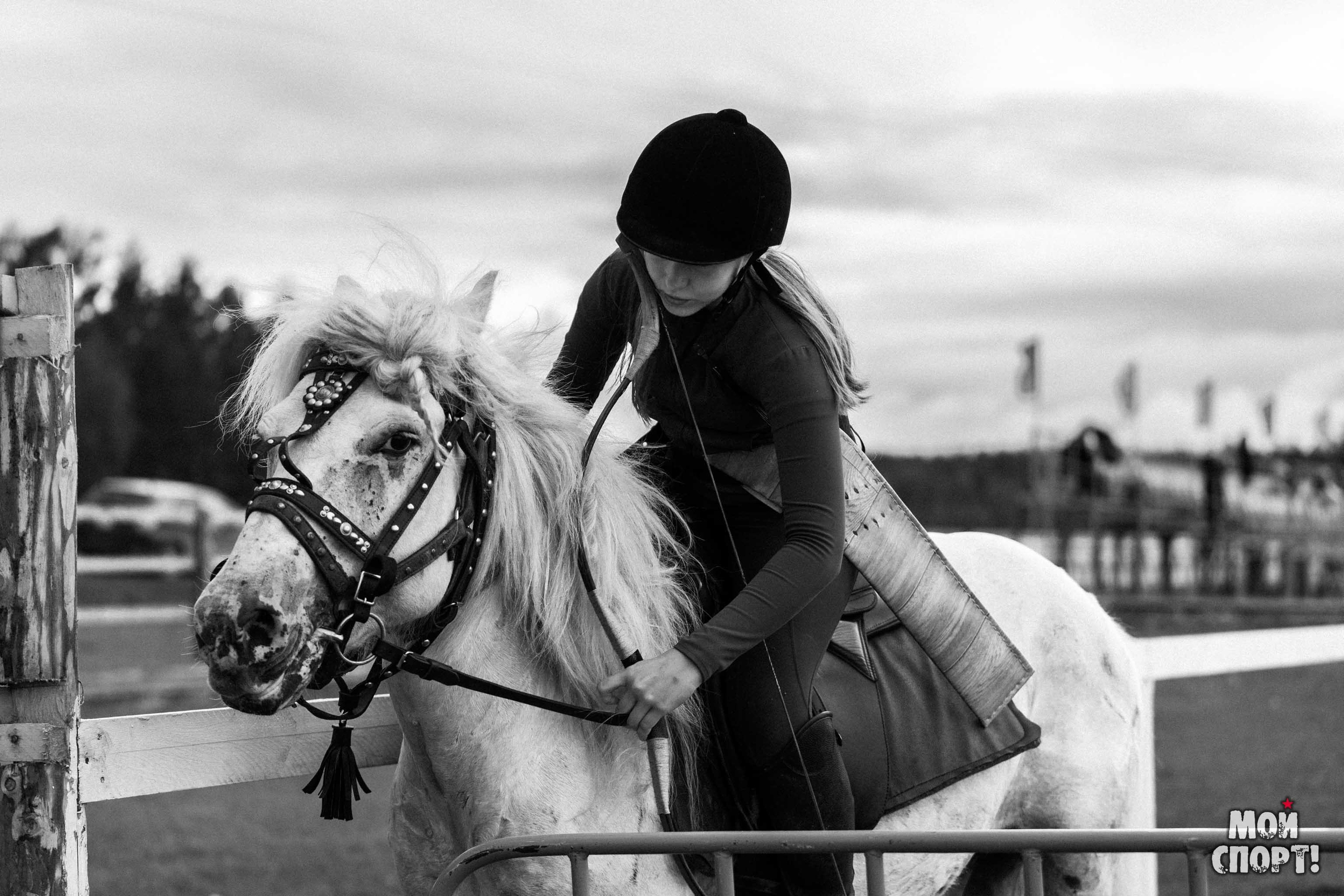 Игры Манчаары 2025. Таатта. Студия «Мой Спорт!» — все о спорте в Якутии