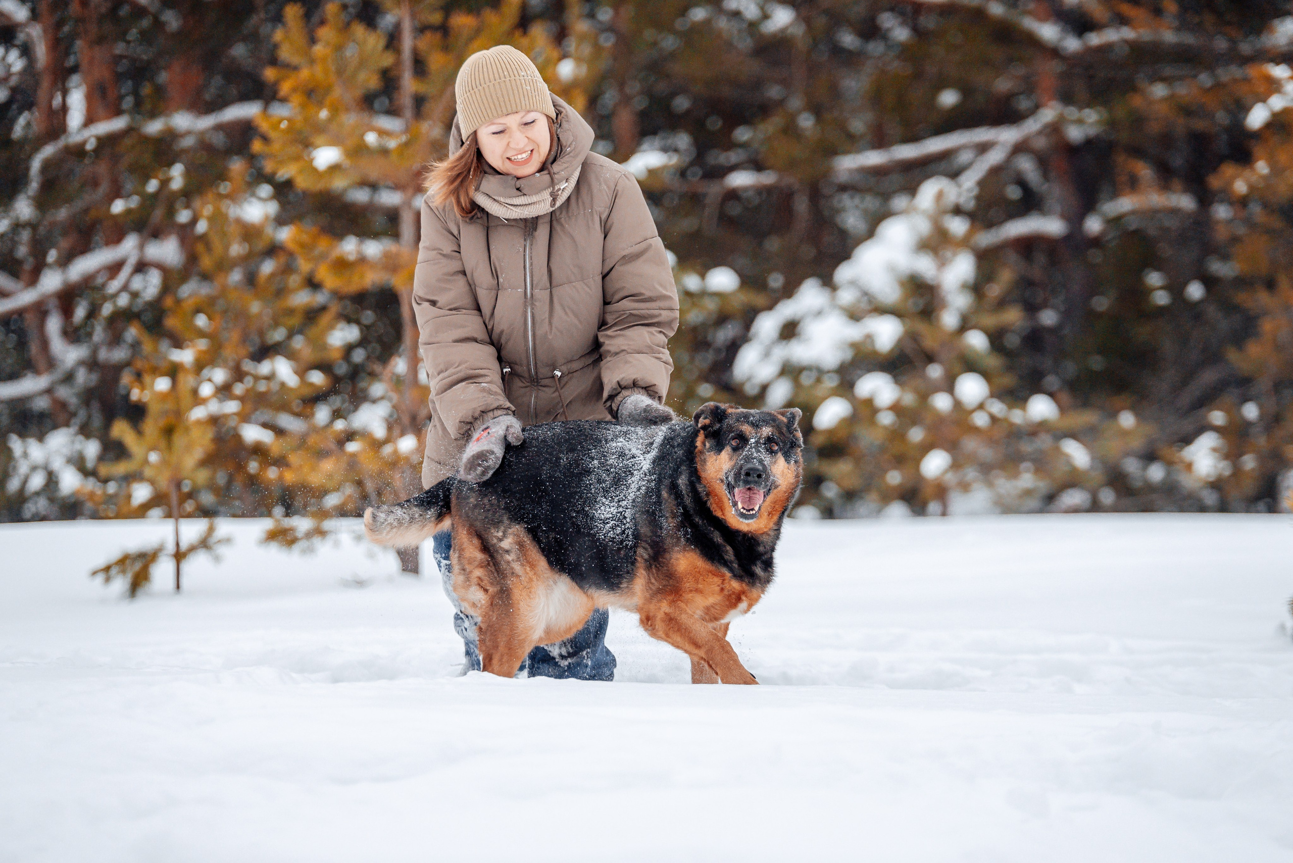 Светлана, Альфа и кошки ✨. Фотограф-анималист Анастасия Парфенова|Екатеринбург