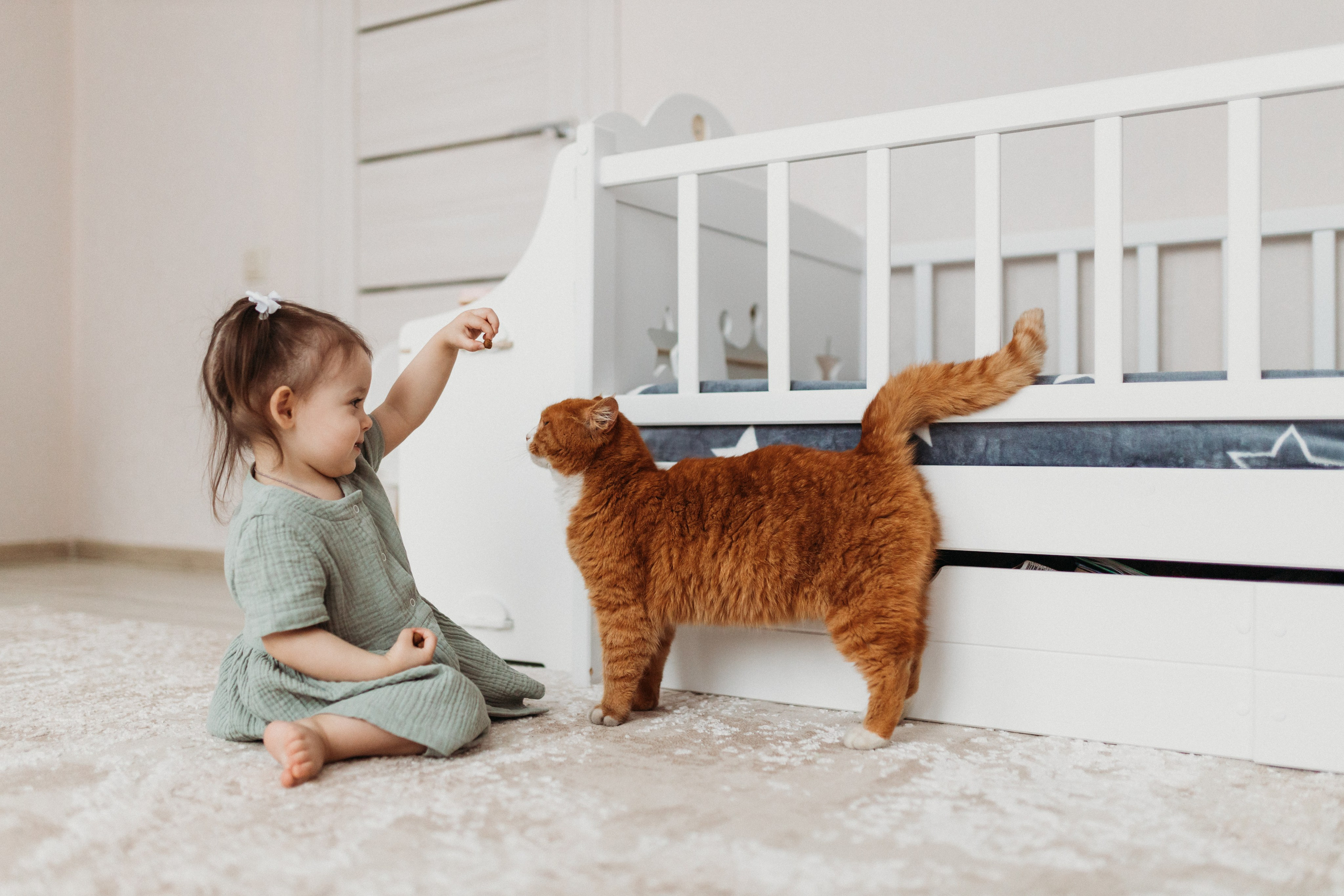 Домашняя фотосессия День Рождения Василисы. Фотограф Тверь. Свадебные, семейные, индивидуальные фотосессии