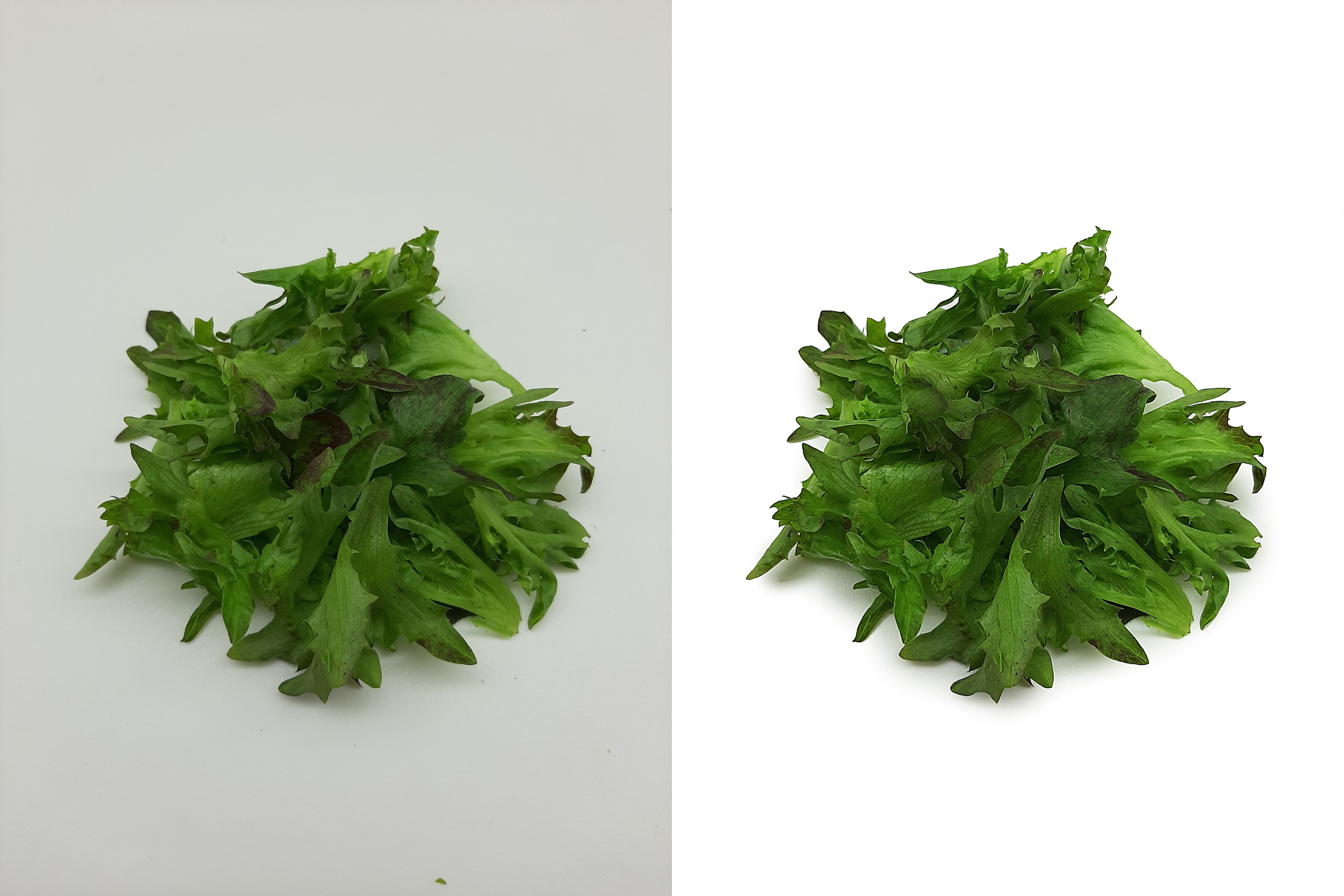 Ретушь растений и овощей | Студия SVITHART