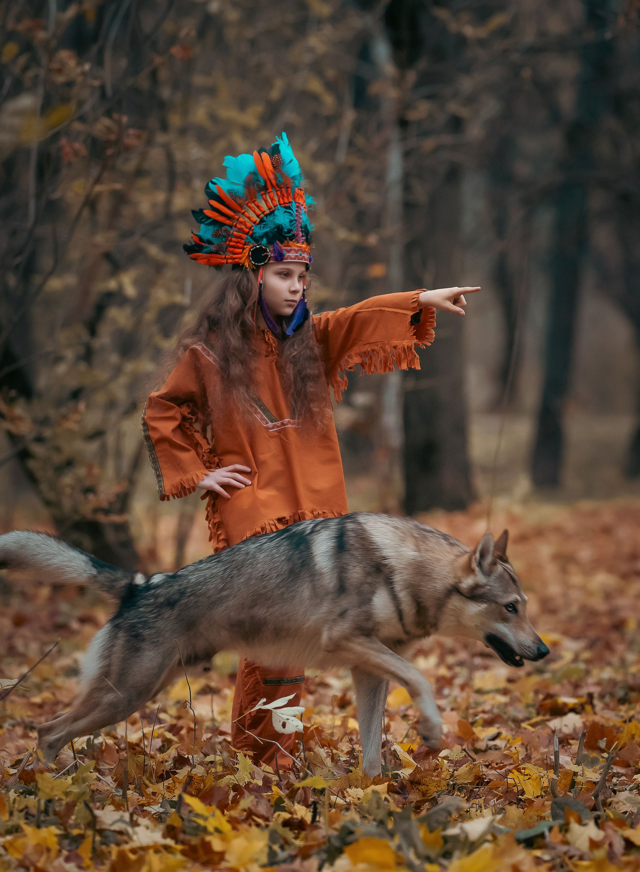 Волки. Профессиональный фотограф в Москве Марина Григорьева