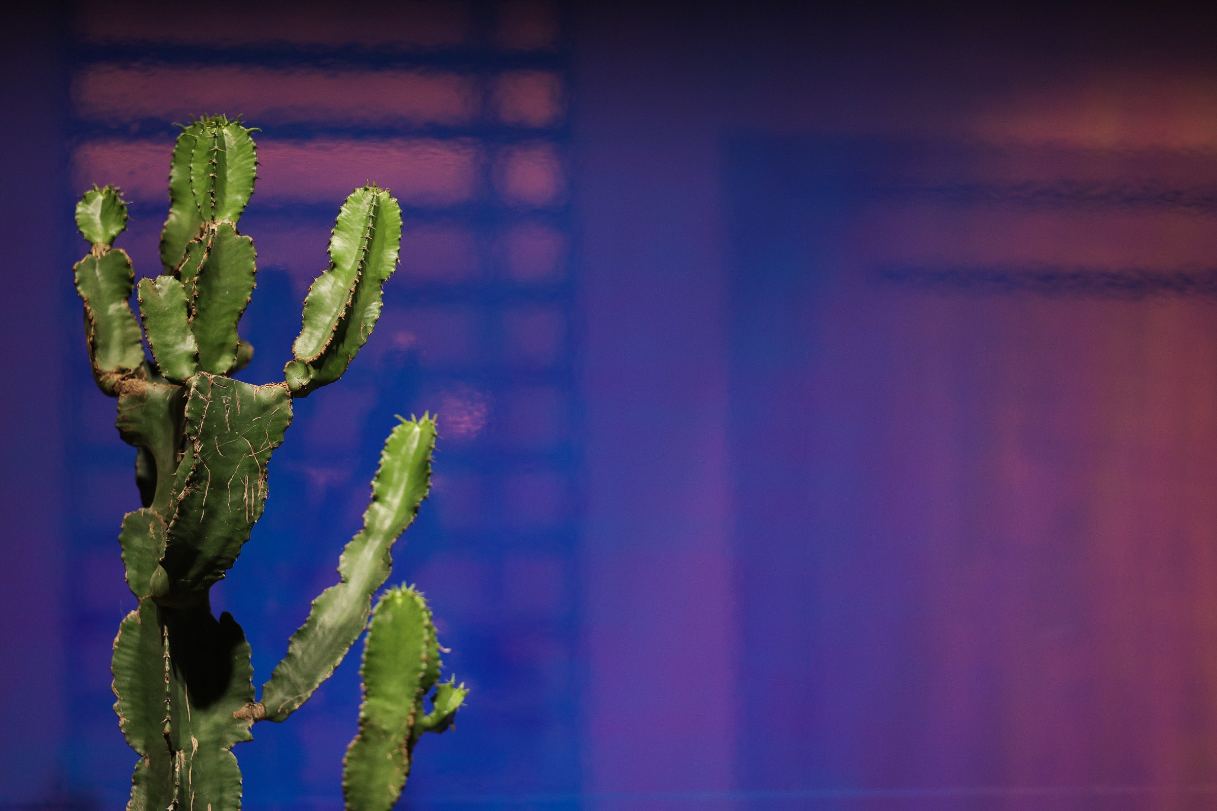 /РЕПОРТАЖ/ Выставка МосБилд. 2024. Свадебный фотограф Великий Новгород Станислав Кособудский