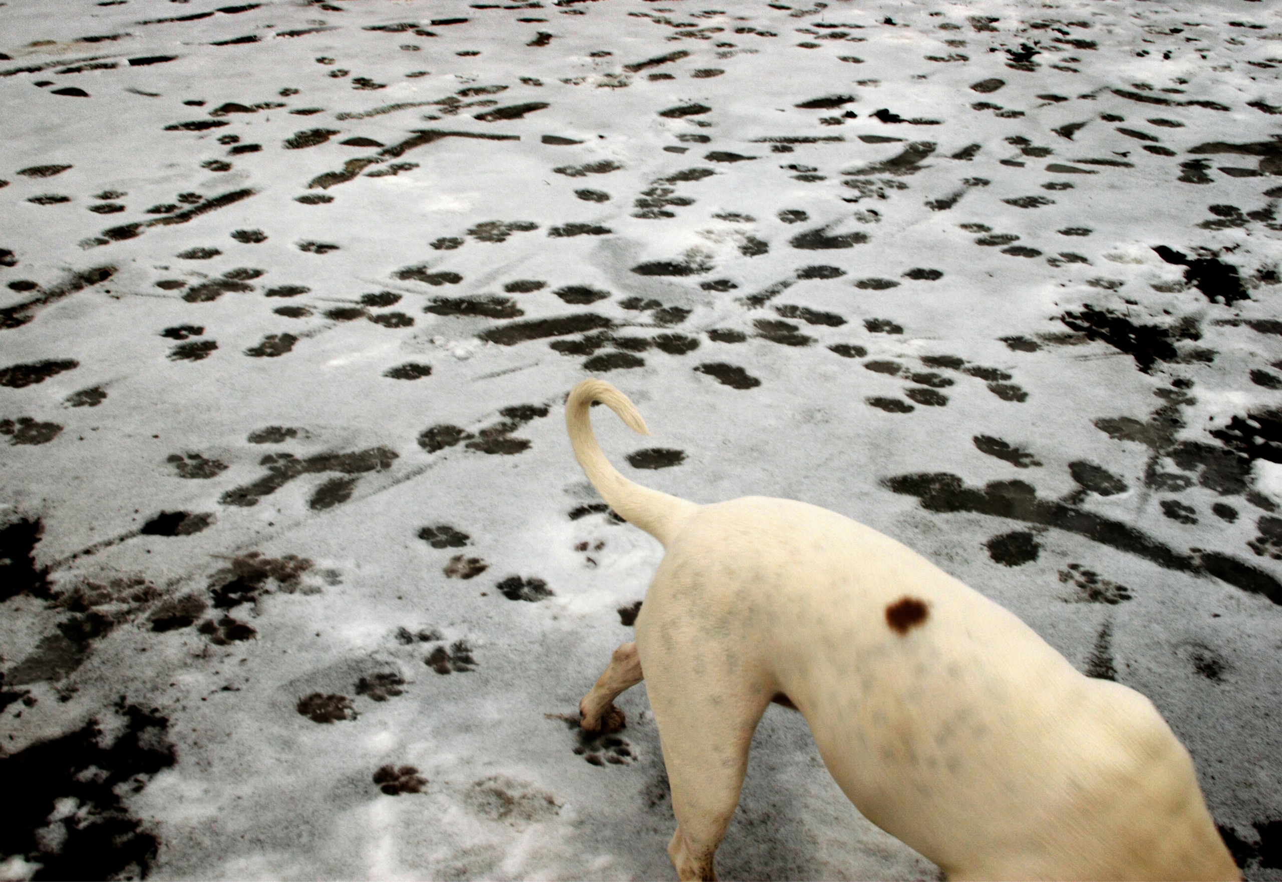 Симуляторы (Каталог № 2). Главная