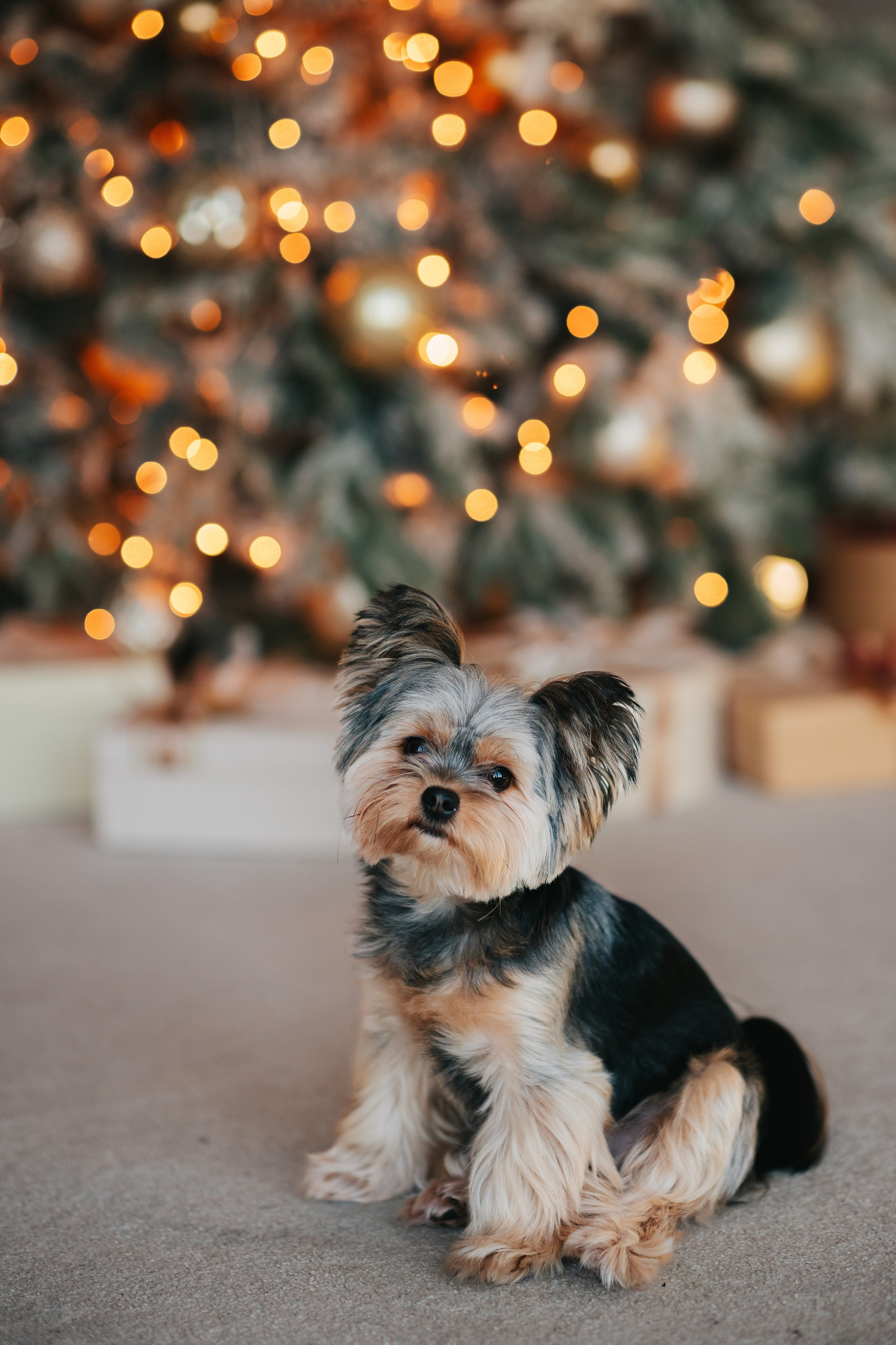 Артур, Оля и Серёжа. Семейный lifestyle фотограф в Санкт-Петербурге Людмила Пахомова