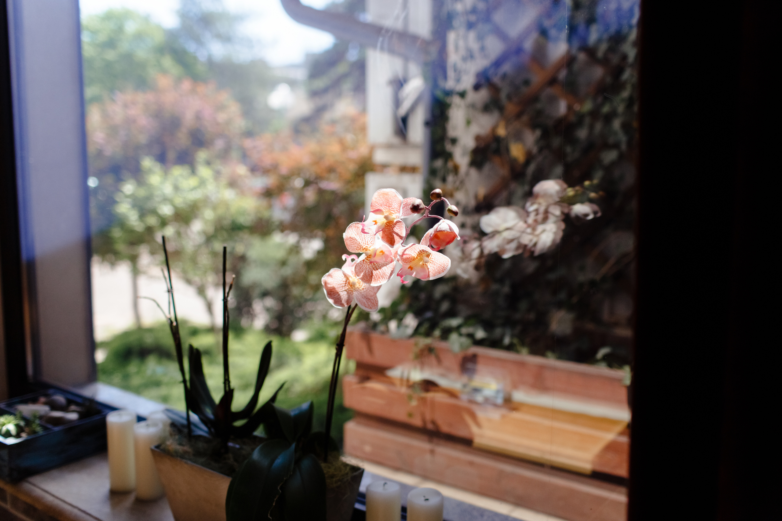 Необычное предложение. Свадебный и семейный фотограф Марина Душаткина