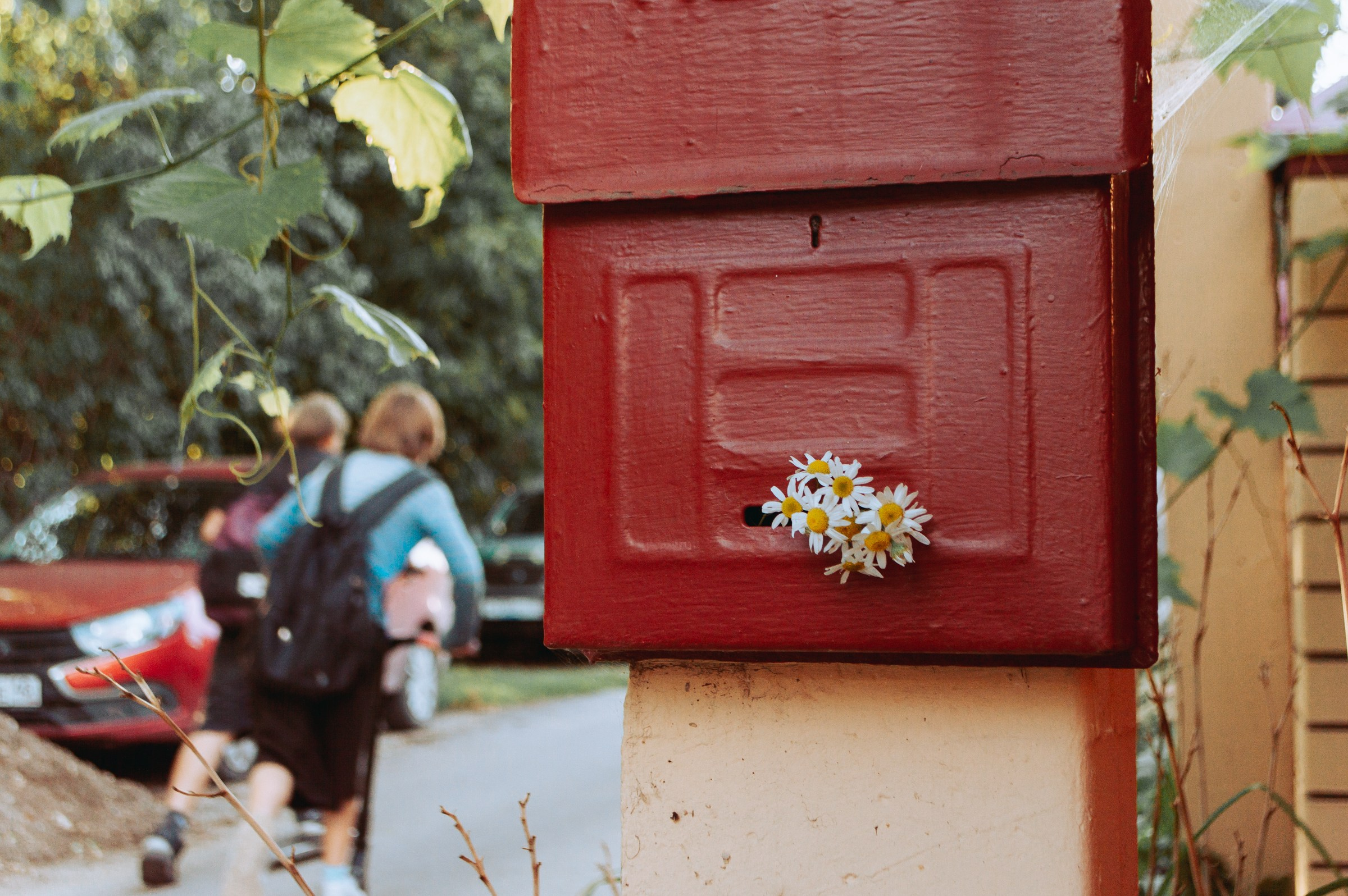 Фотосессия 6