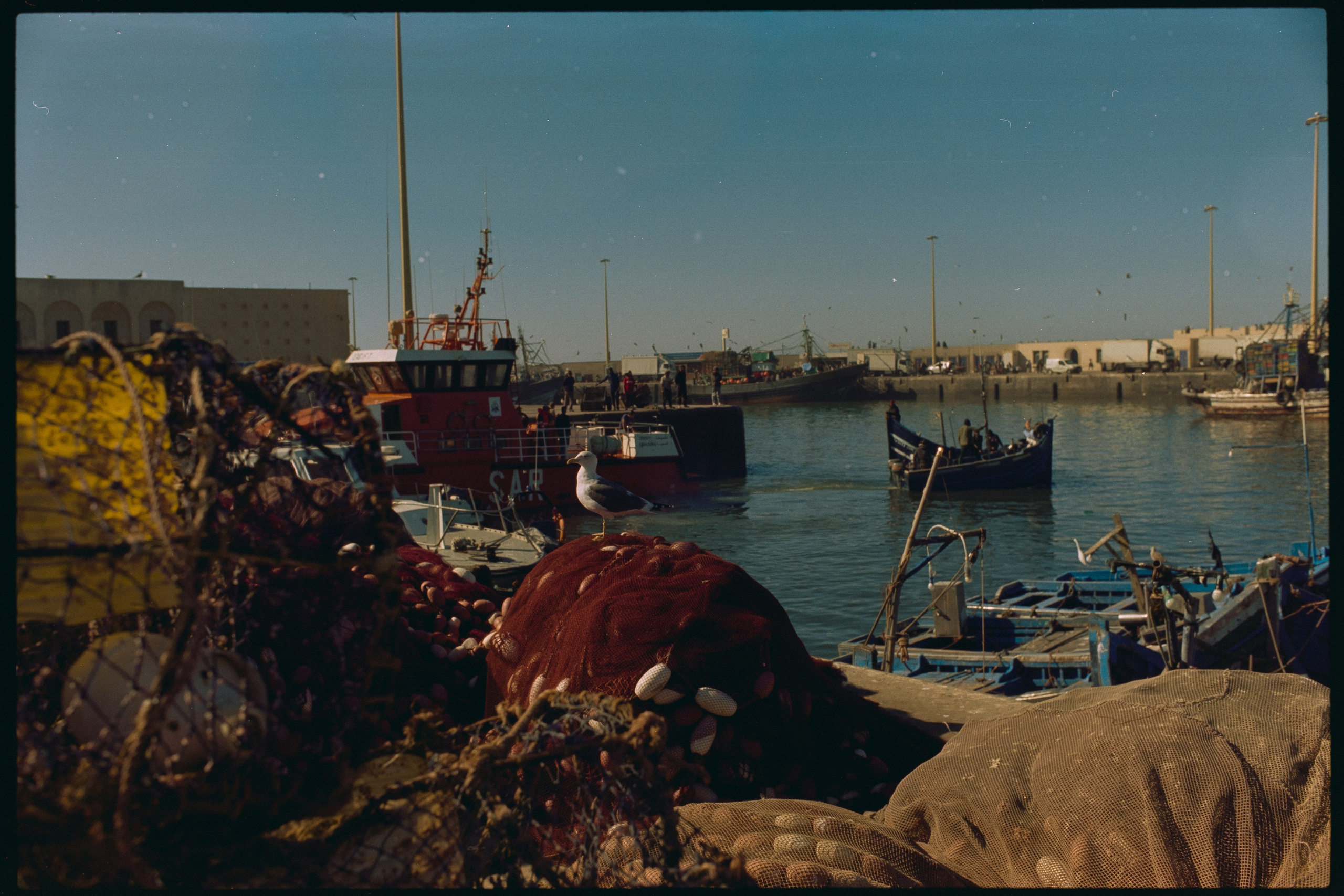Марокко (плёнка Алёны). Игорь Гичка. Портрет с любовью