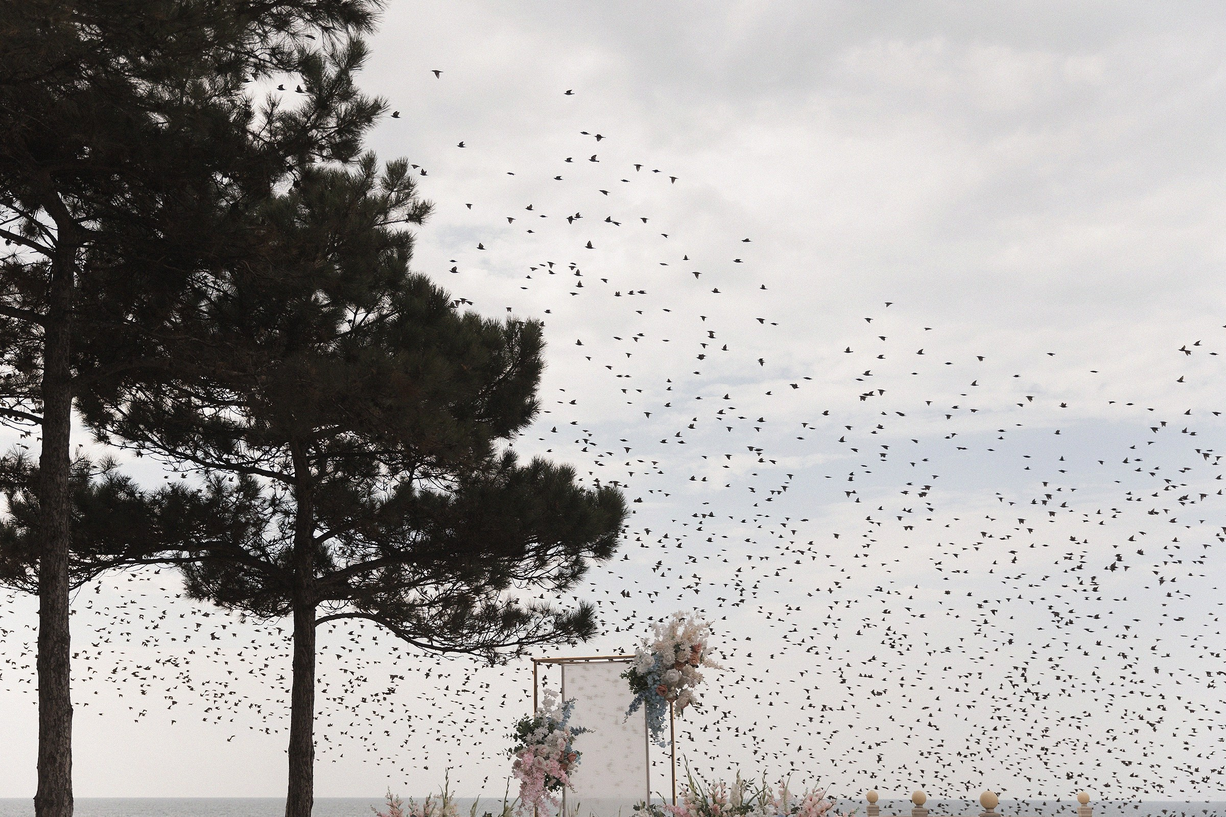 Твоя навсегда. Sovushka DS