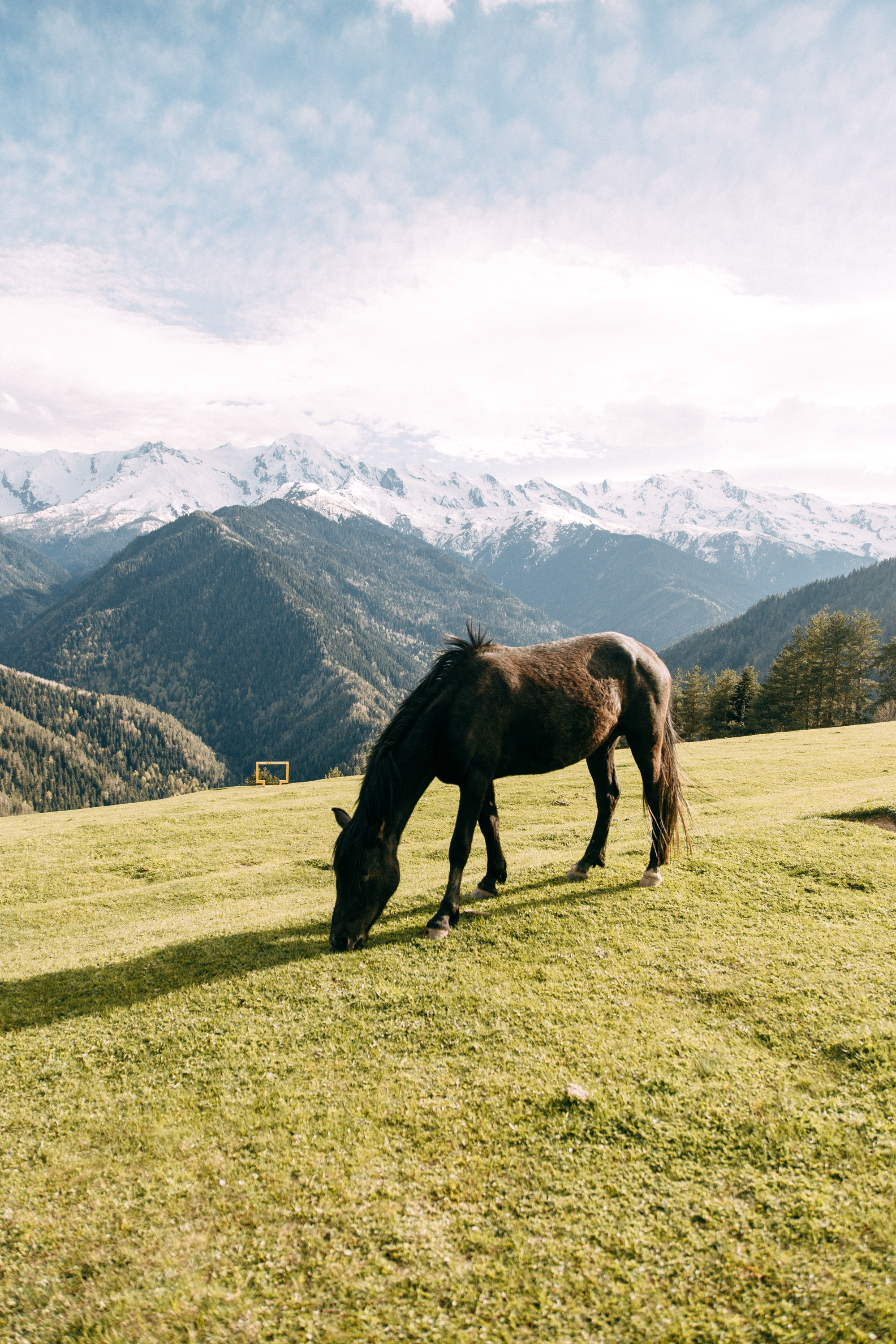 Почему Грузия идеально подходит для свадьбы?