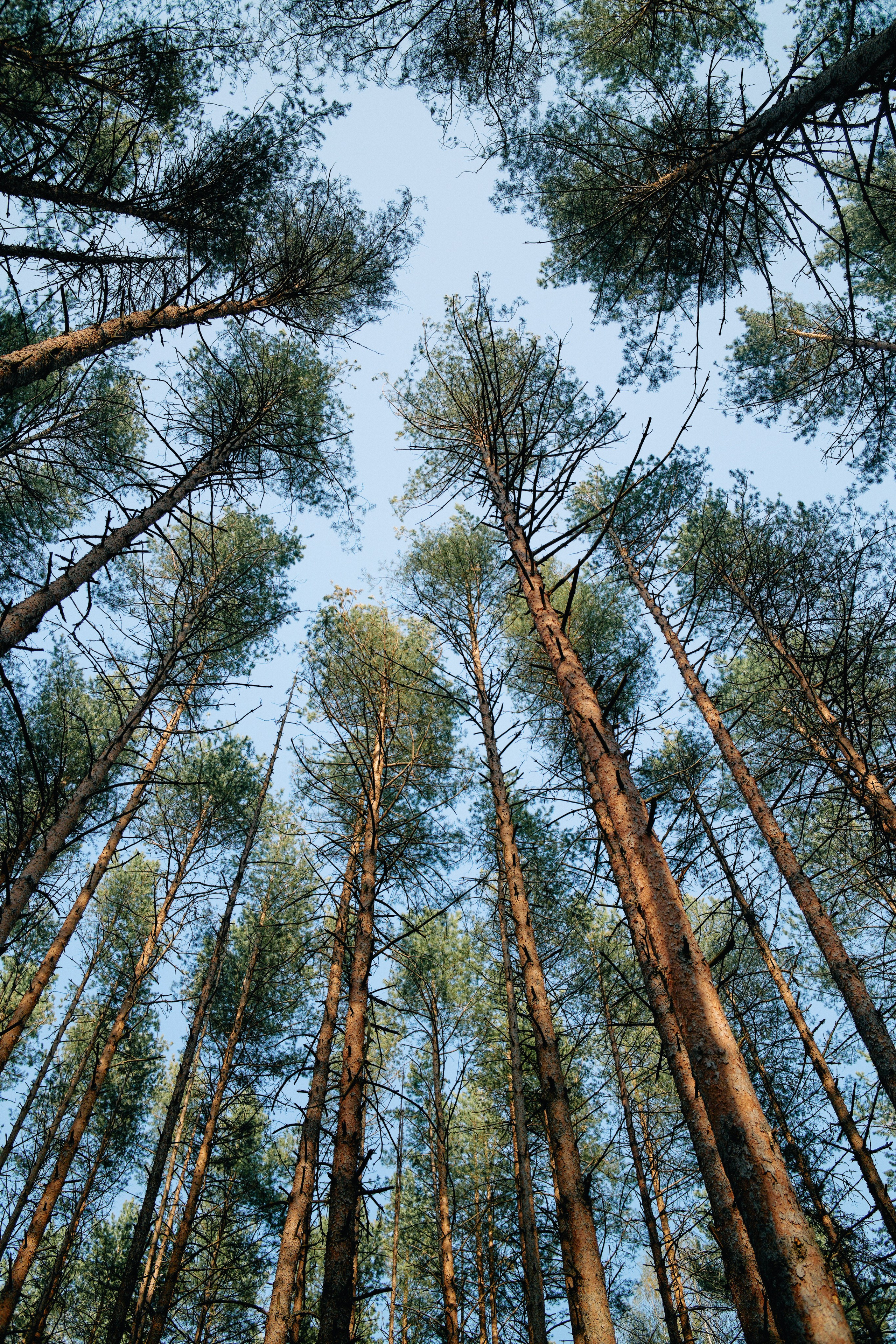 Бутик-отель Поле летом. Профессиональный Фотограф во Владимире, в Москве и в Суздале — Полина Романычева