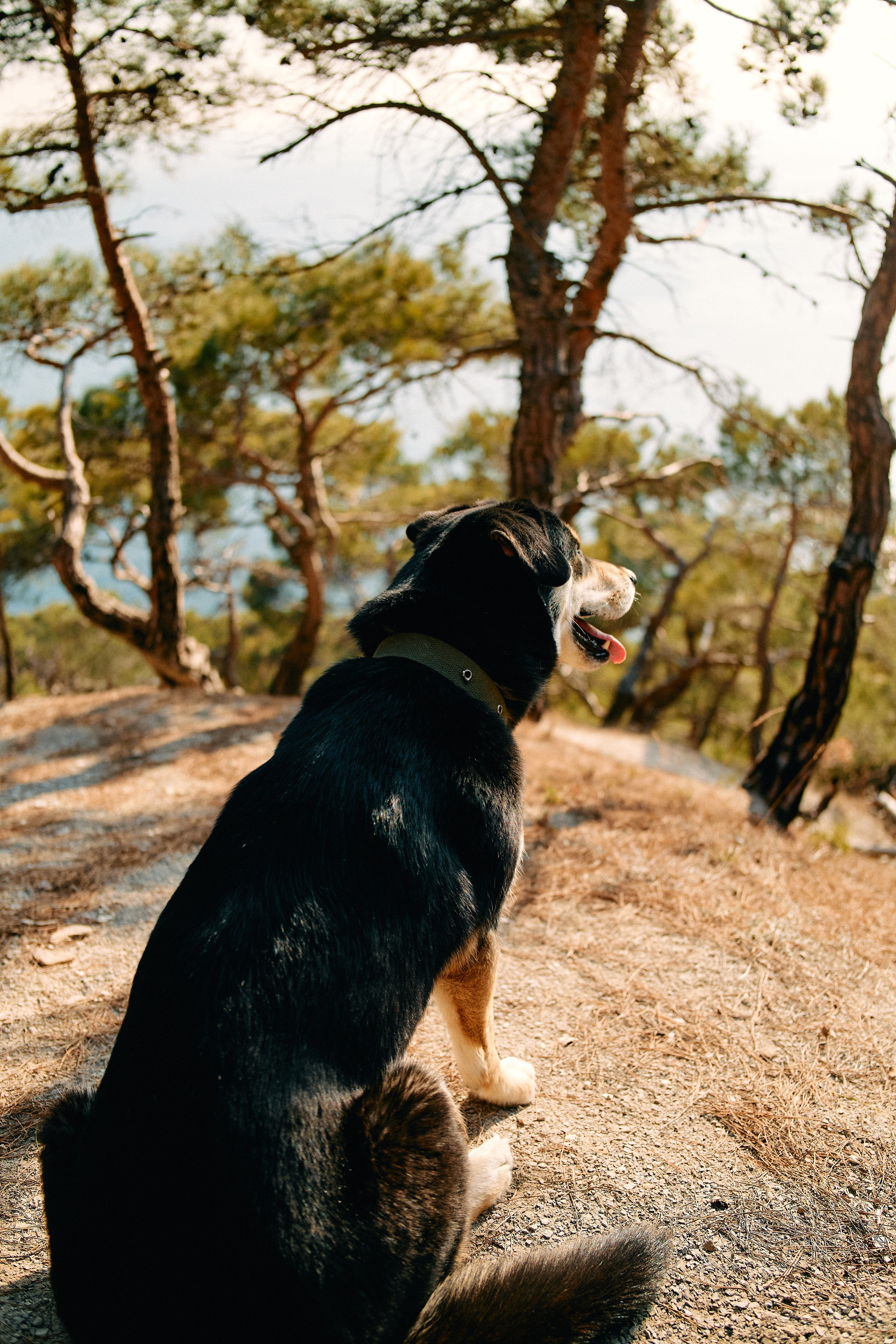 Юг России. Профессиональный Фотограф во Владимире, в Москве и в Суздале — Полина Романычева