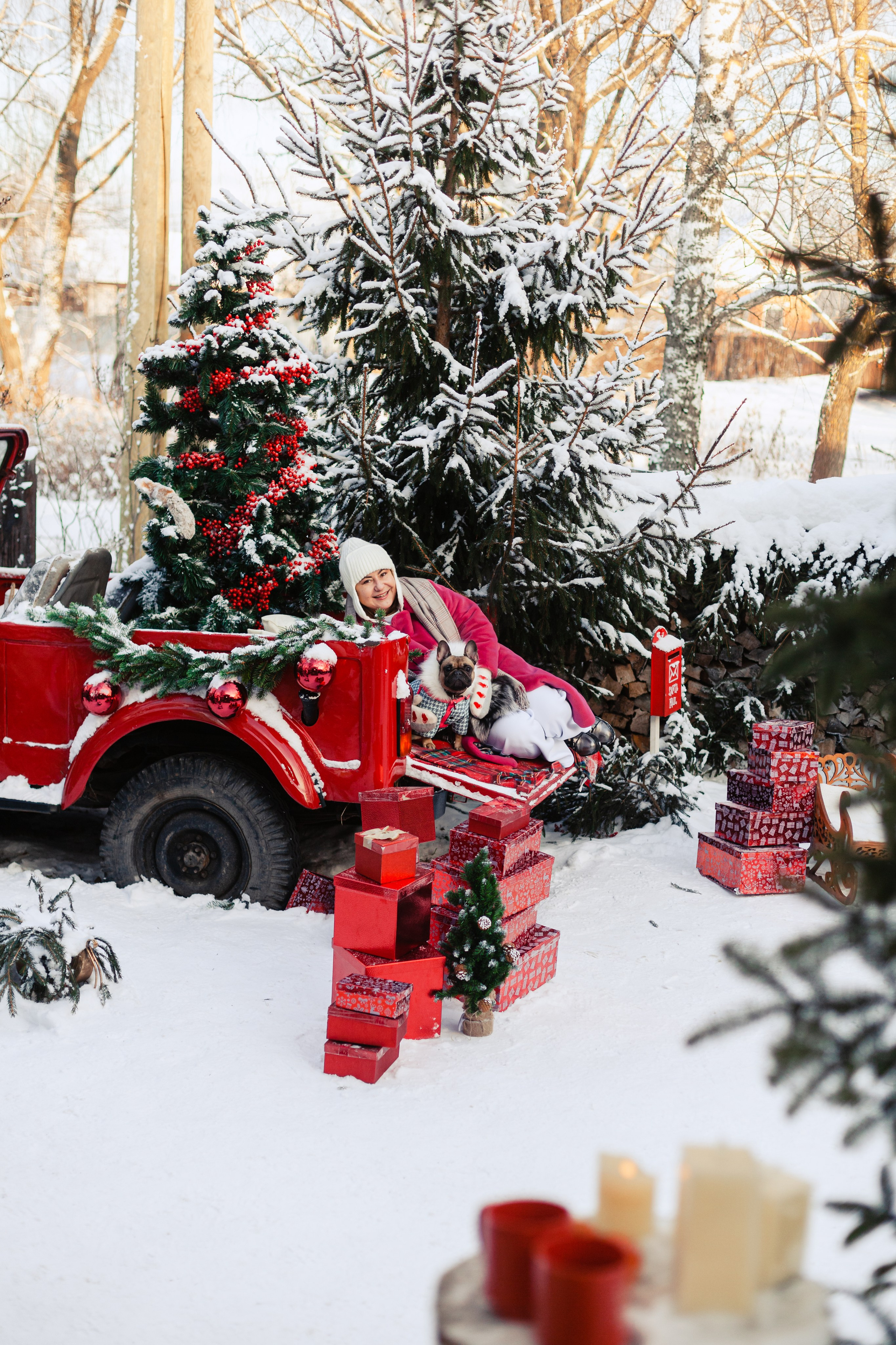 Зингер дача. Фотограф-анималист Татьяна Степанова
