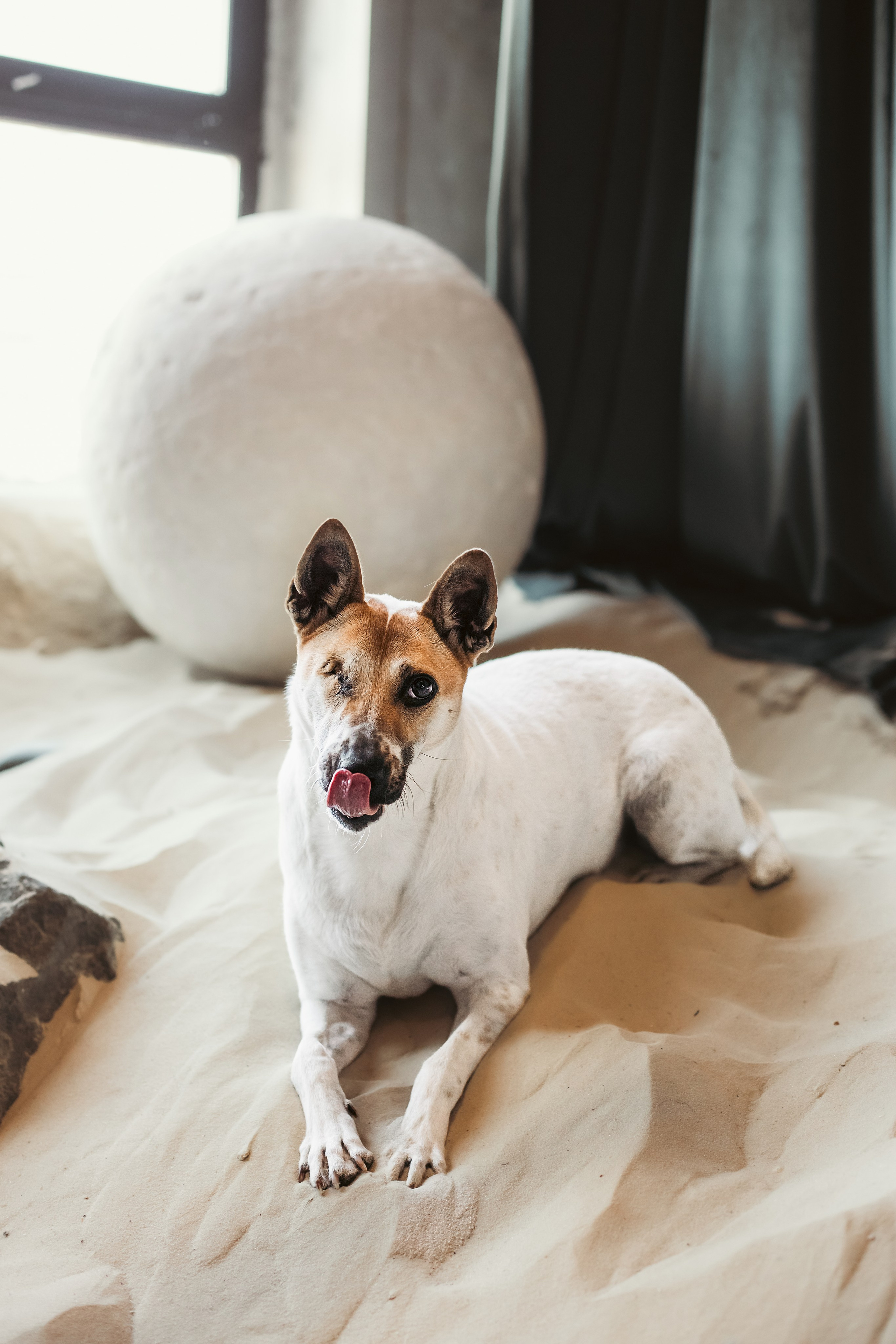 Полина и Альвильда. Фотограф-анималист Татьяна Степанова